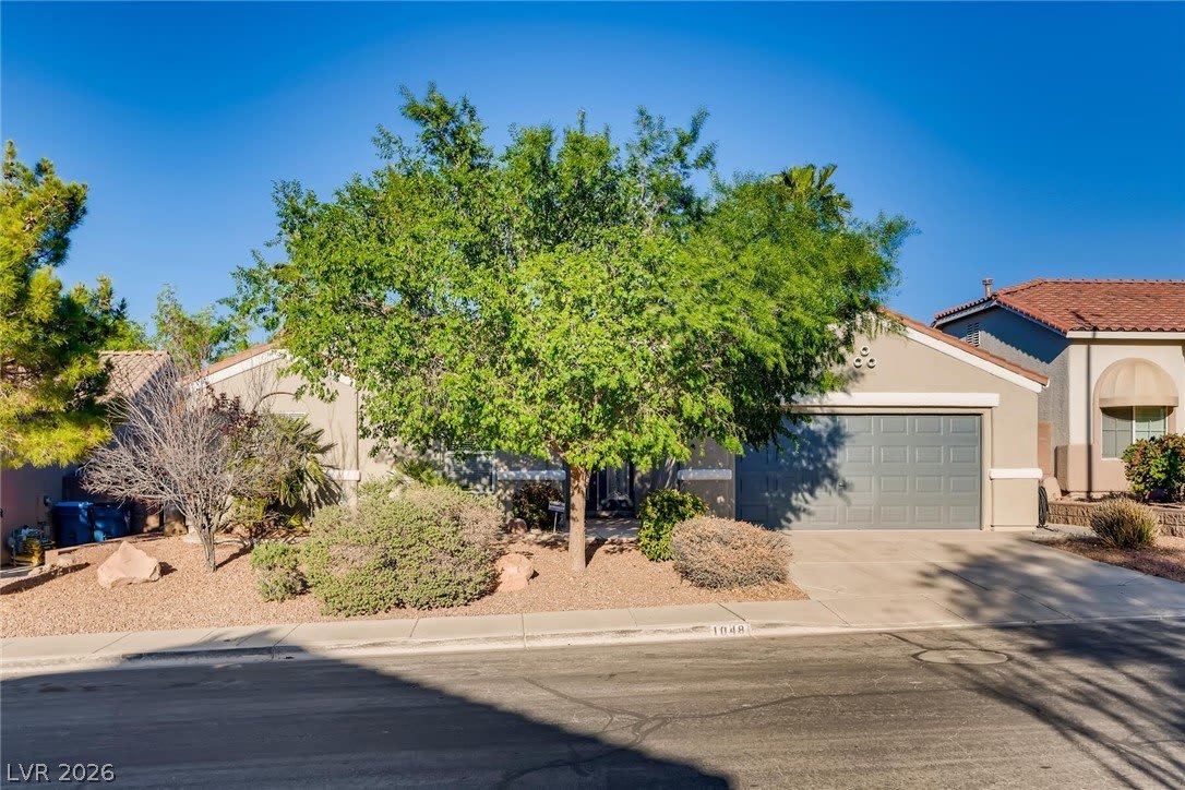 1048 Royal Skyline Street – photo 1