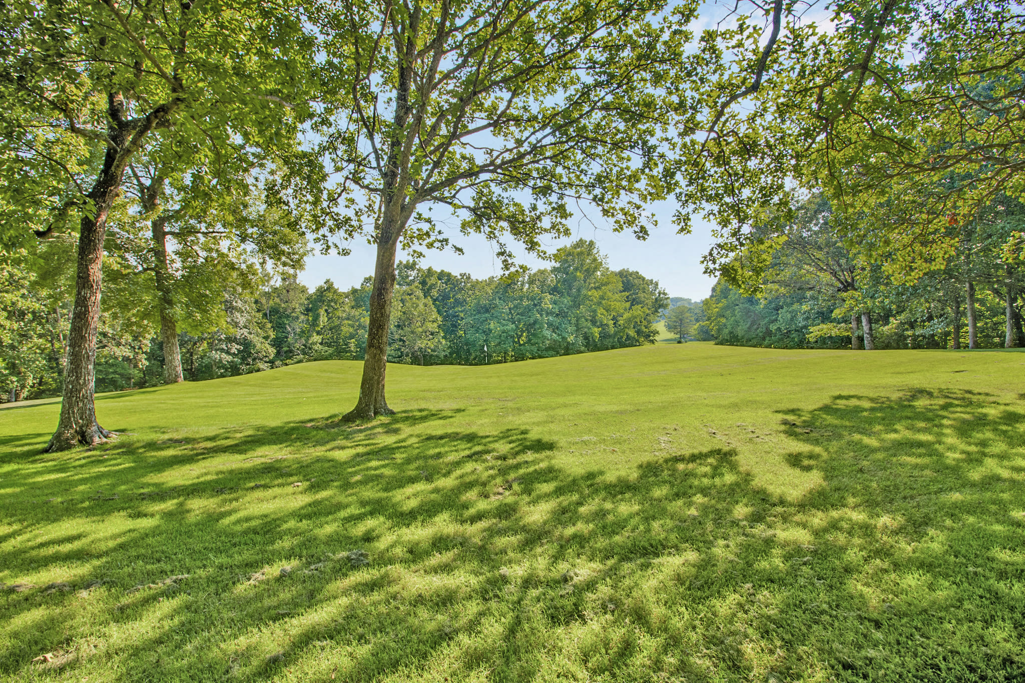 512 Druid Landing – photo 2