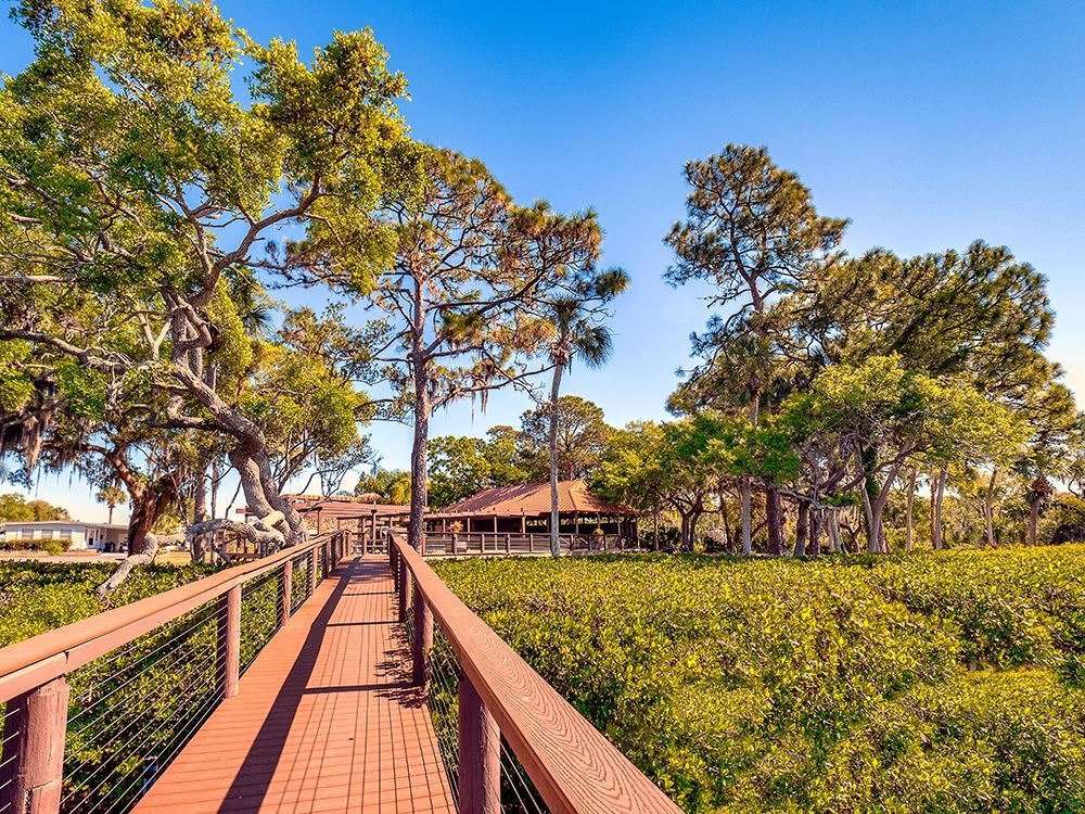 486 Driftwood Drive – photo 4