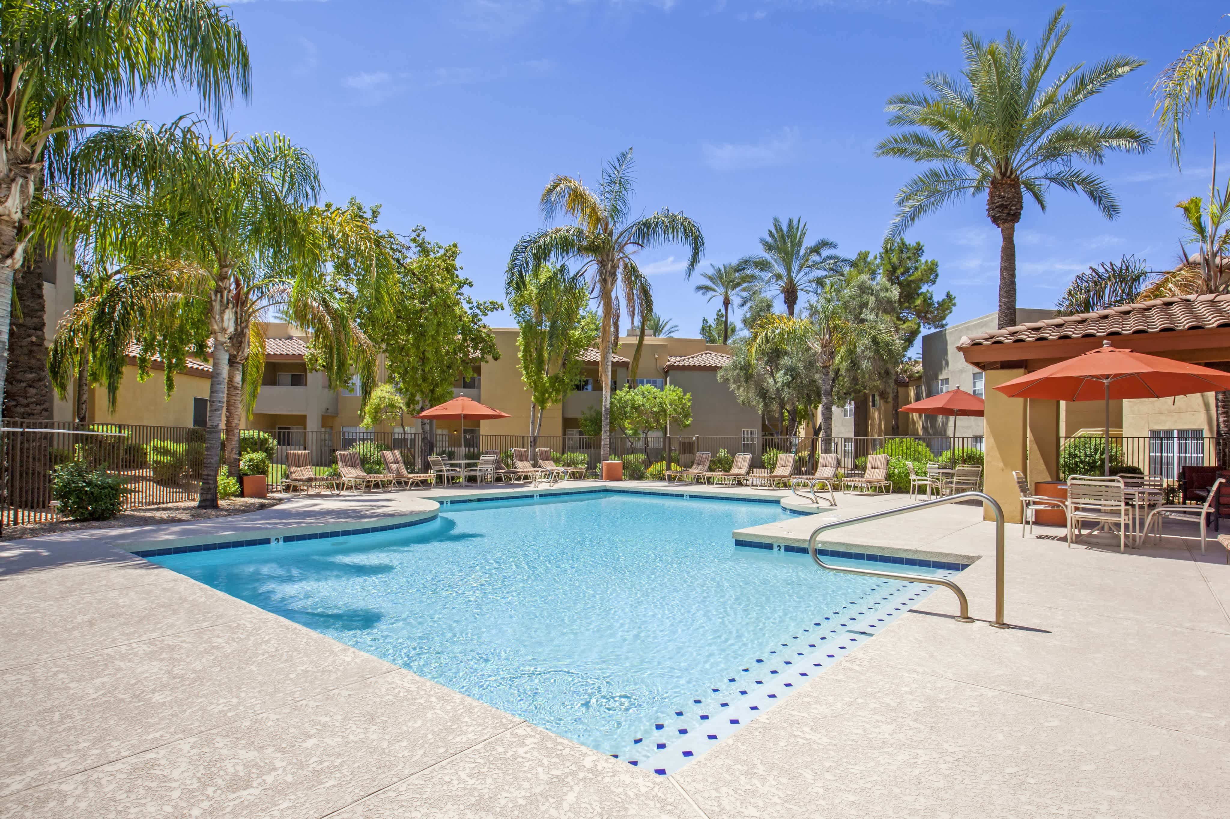 The Palms – photo 1