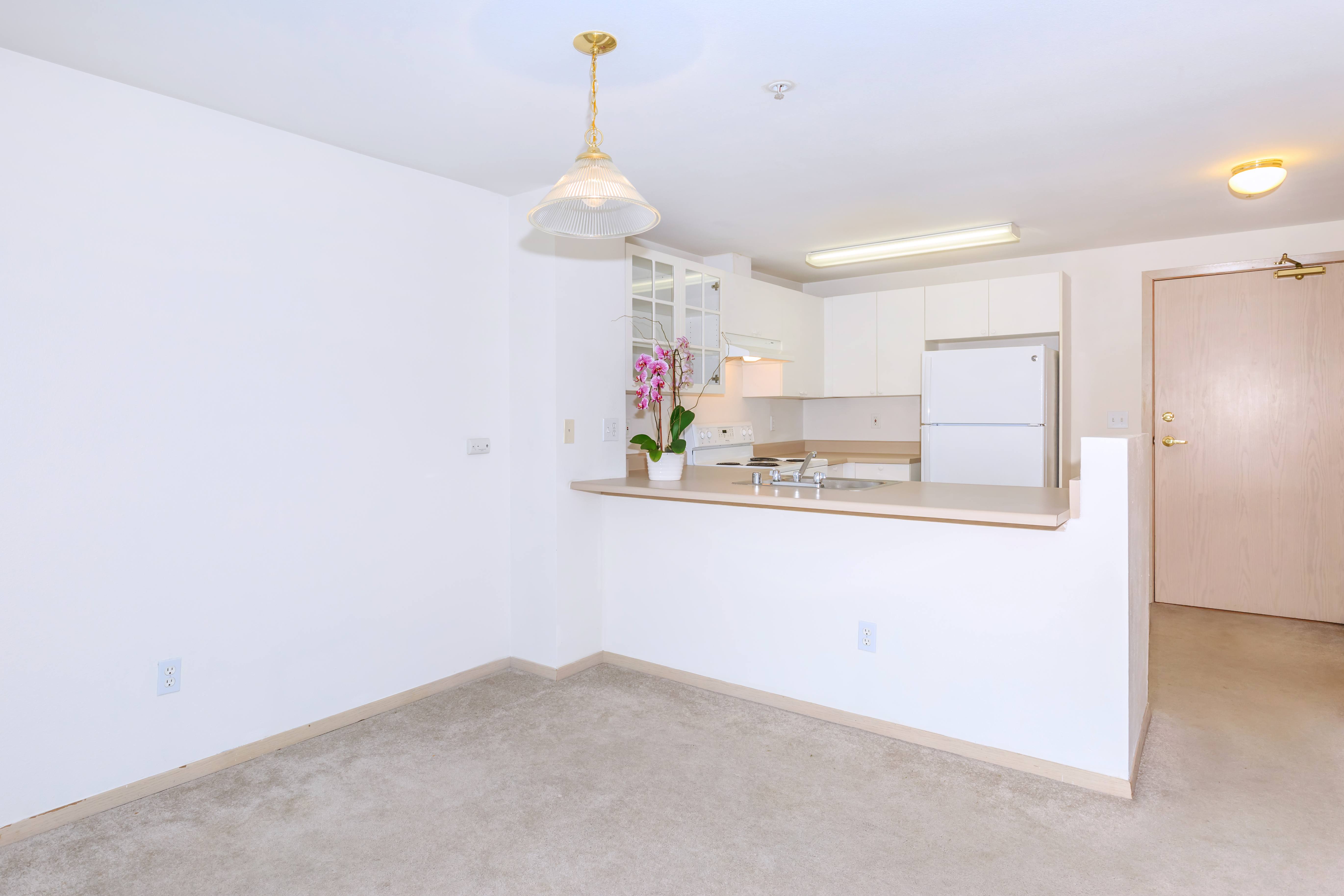 Clearwater and Star Apartments – photo 2