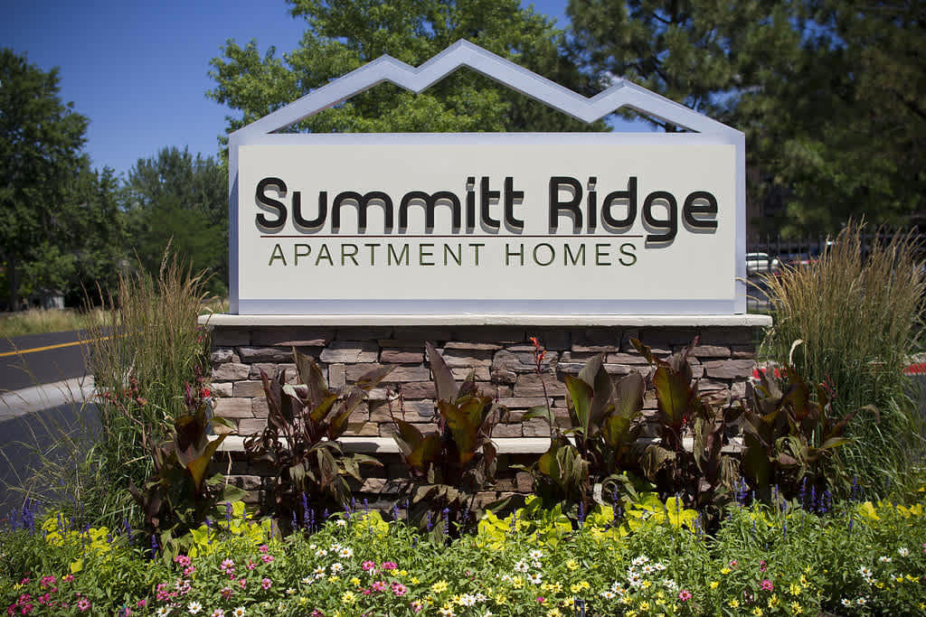 Summit Ridge – photo 5
