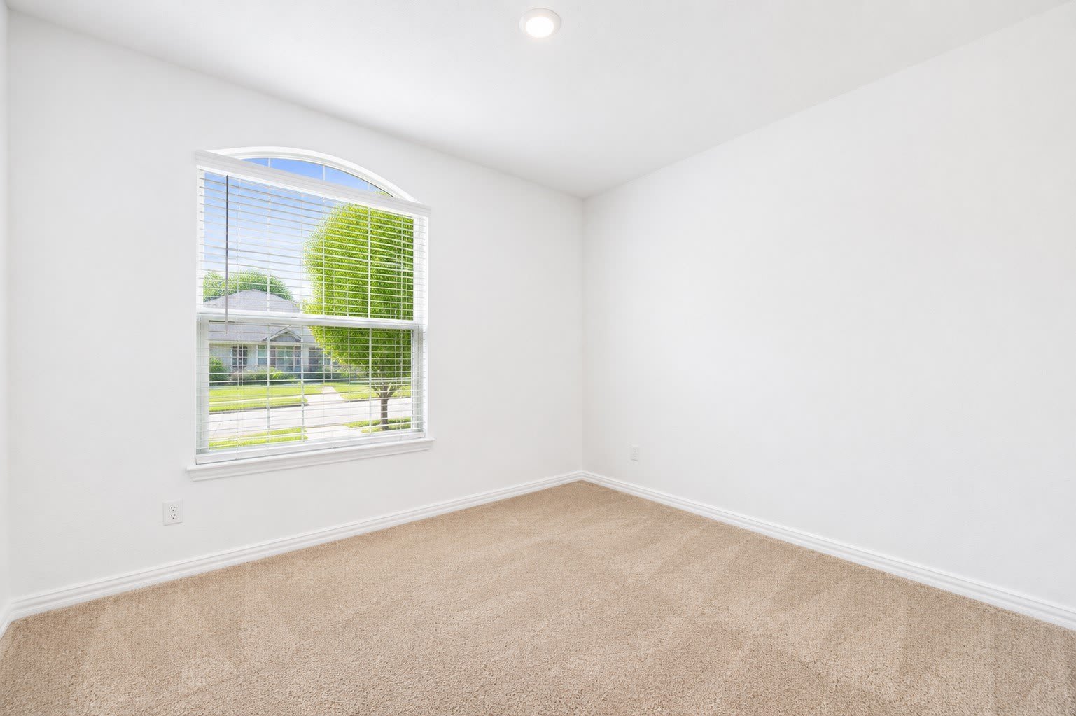 624 Fitzroy Lane – photo 4