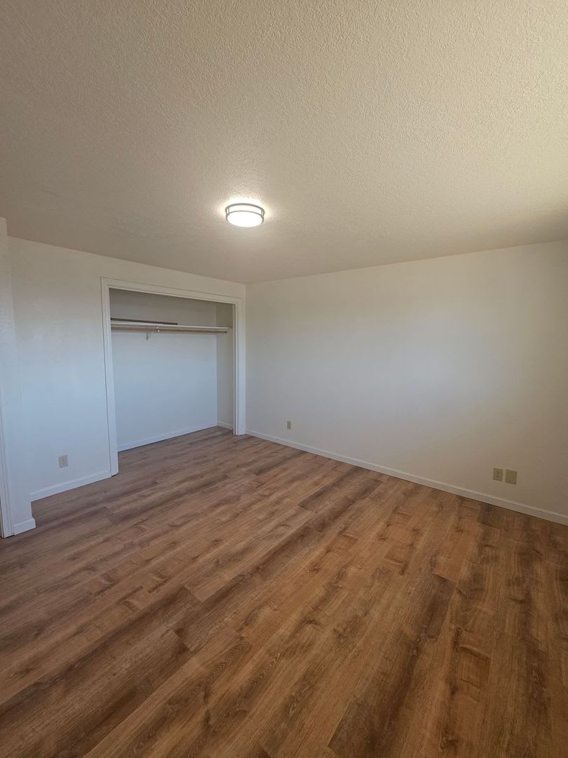 Newly Updated Home With Fenced Pet Area Detached Garage – photo 4