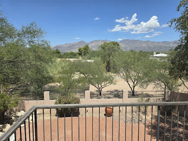 3074 Palomino Park Loop – photo 2