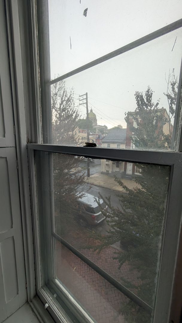 1BR – photo 5