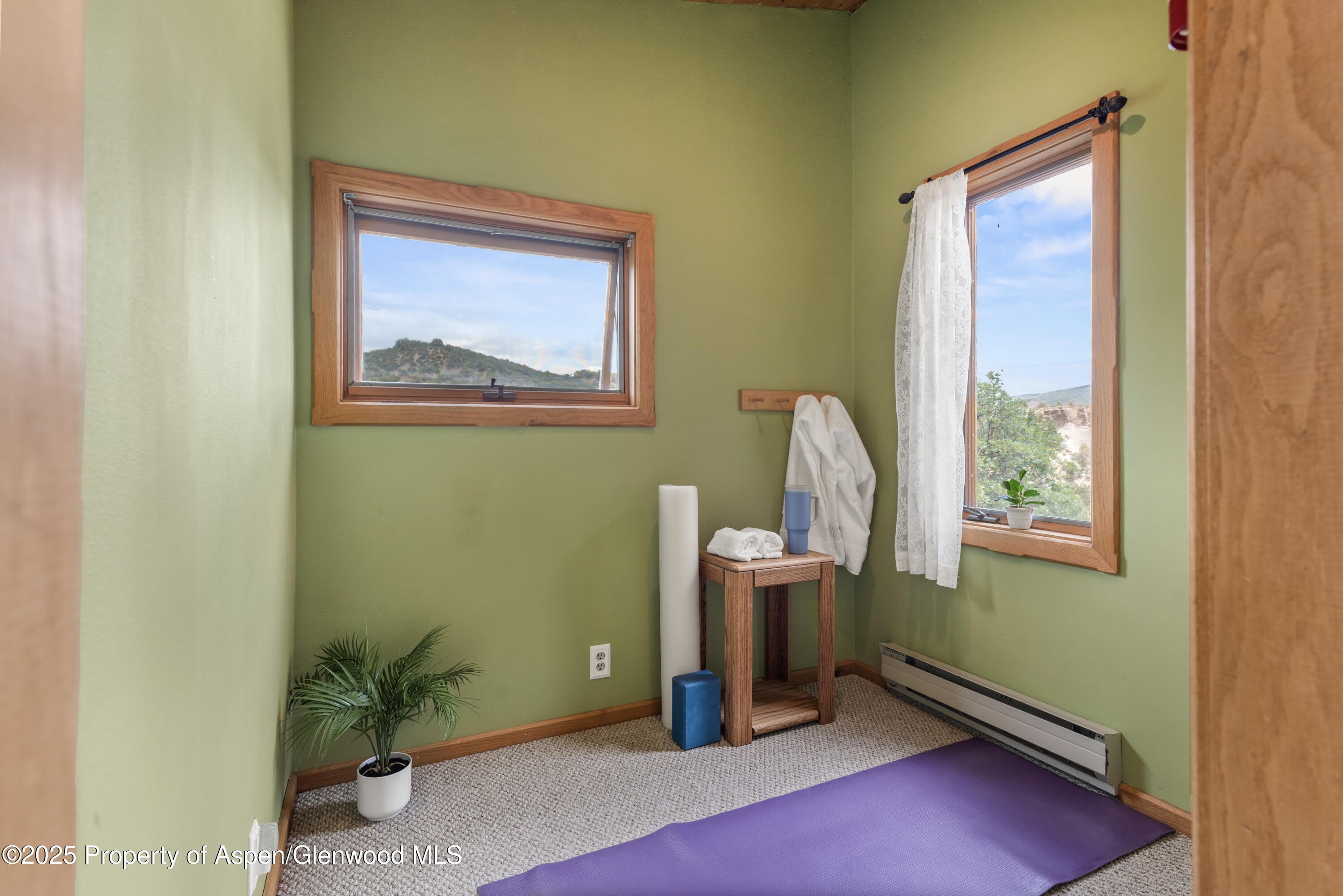 2020 Juniper Hill Drive – photo 4
