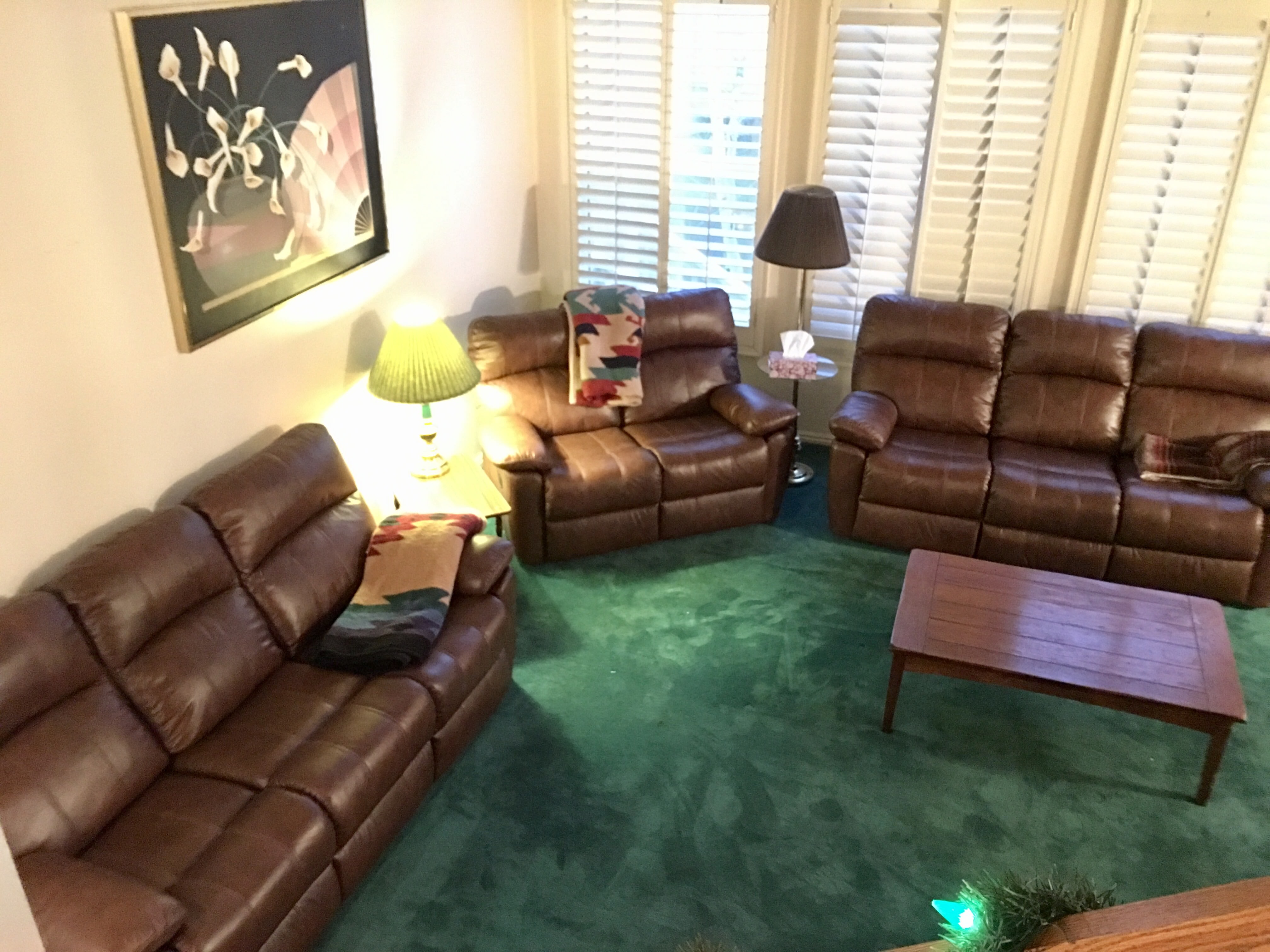 3563 Wasatch Grove Lane – photo 1