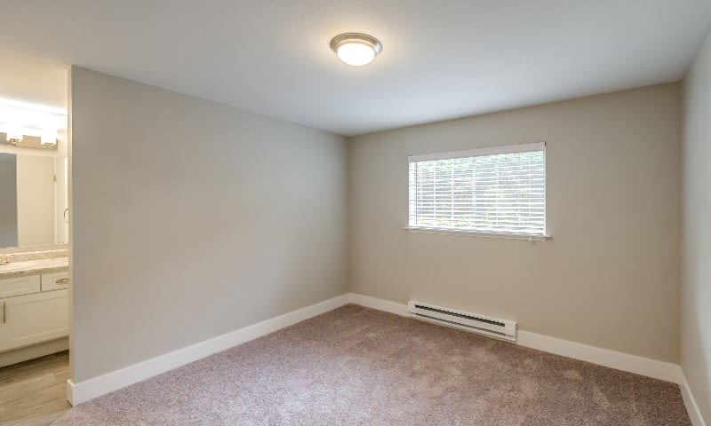 Avana Chestnut Hill – photo 3