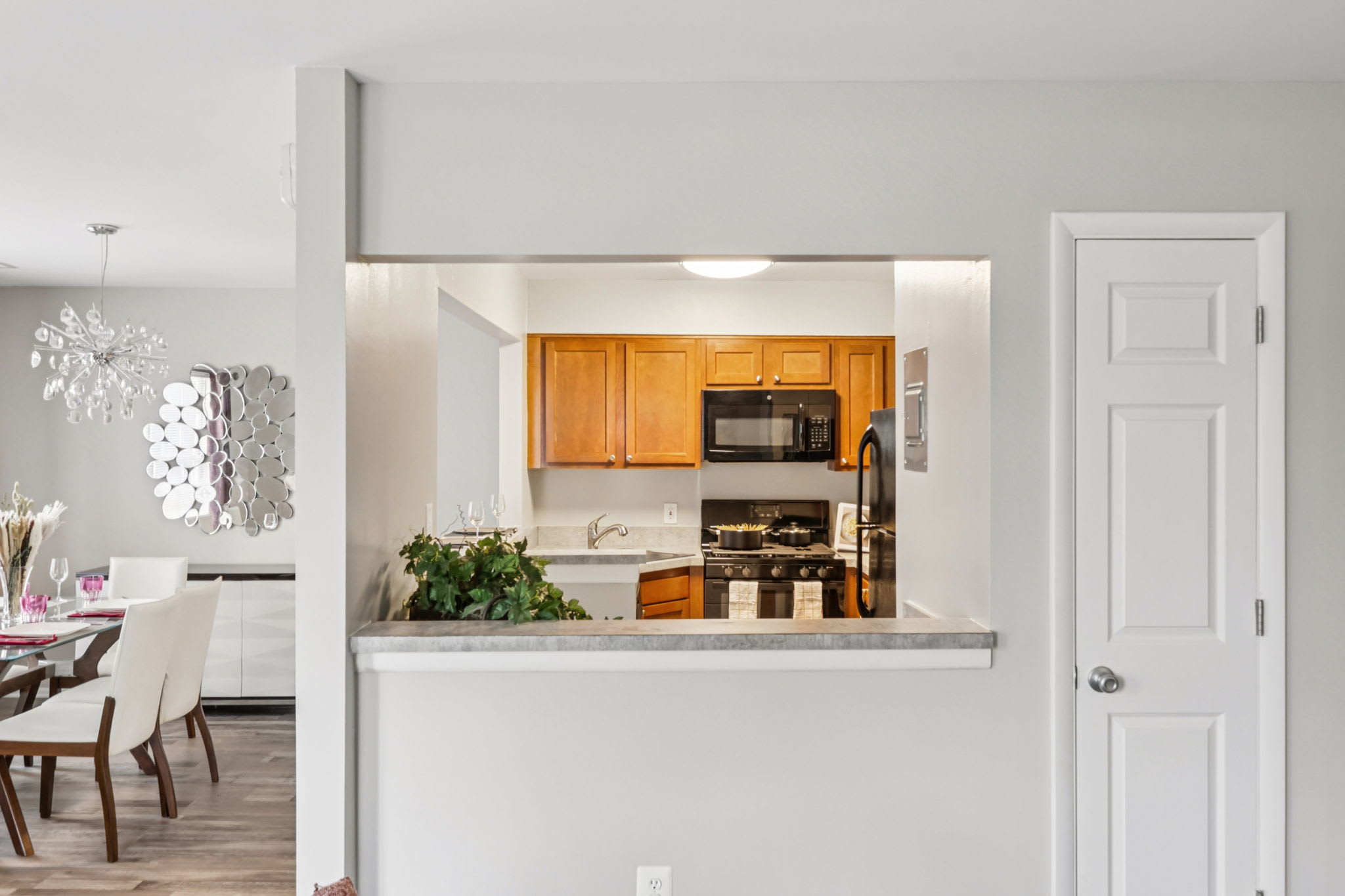 Royal Oaks &amp; East Garden – photo 4