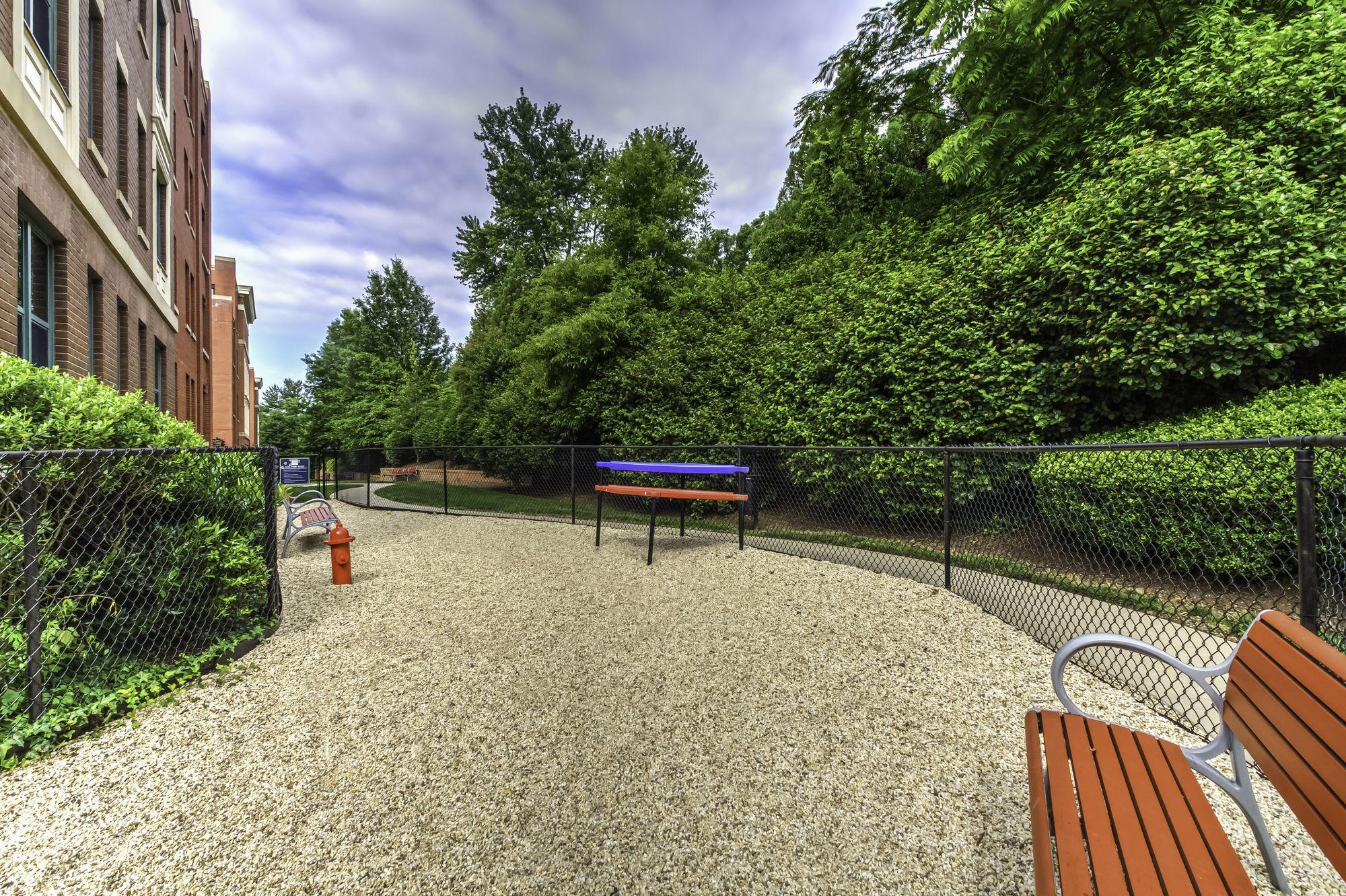 Pearson Square – photo 4