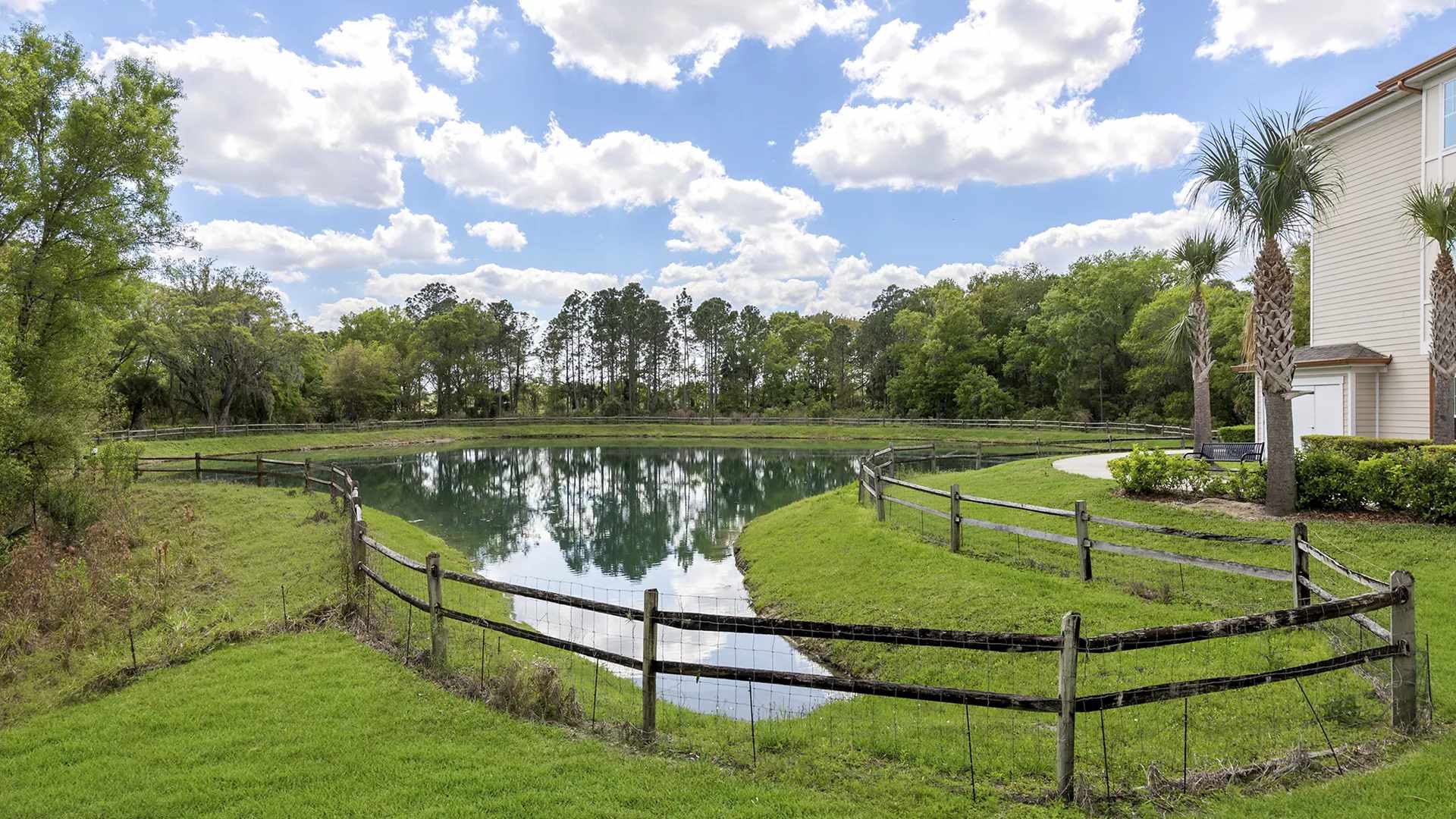 Horizon Wiregrass Ranch – photo 5