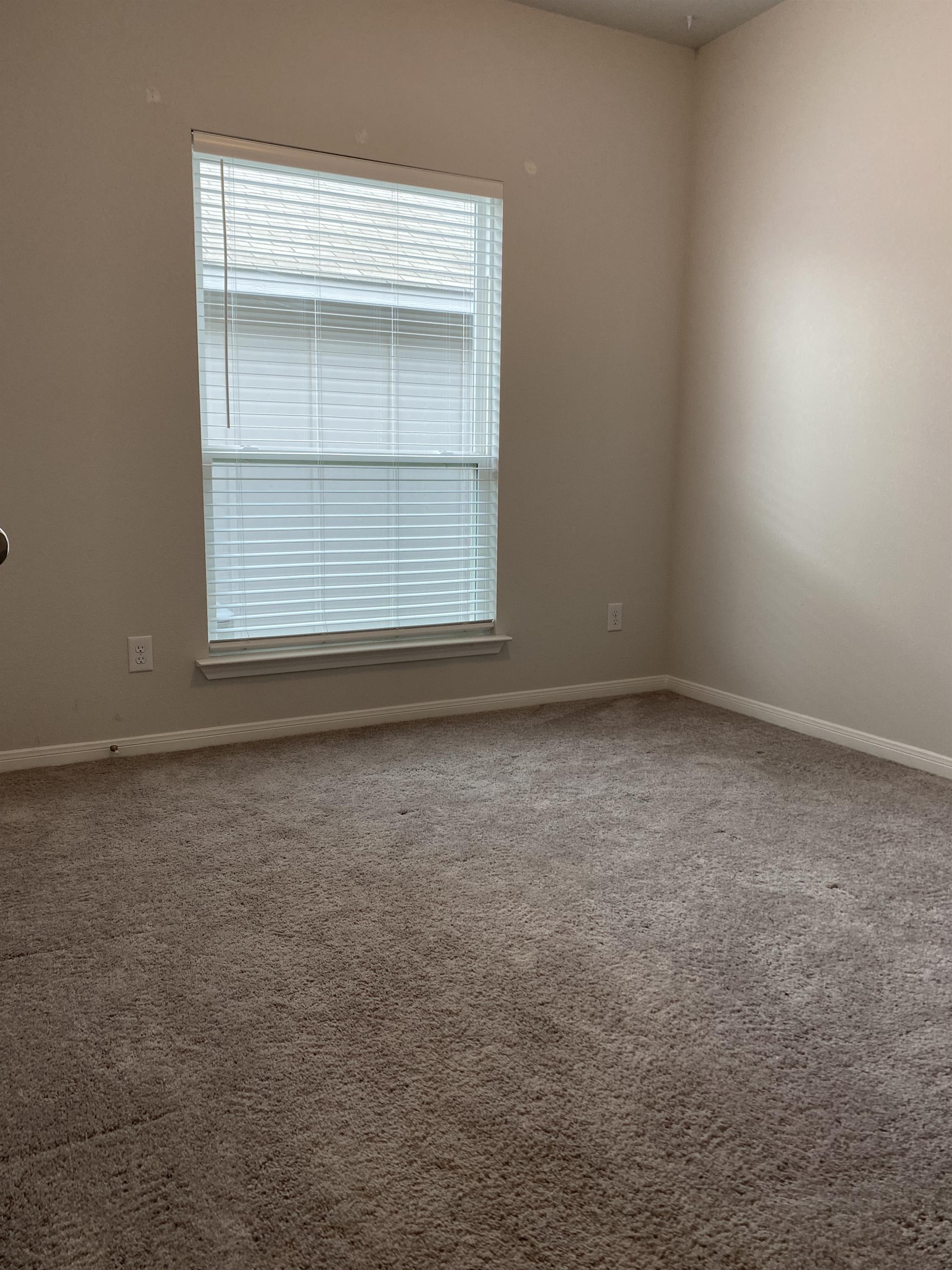 924 Coriander Road – photo 4
