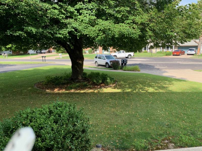 6924 N Flamingo Ct – photo 2