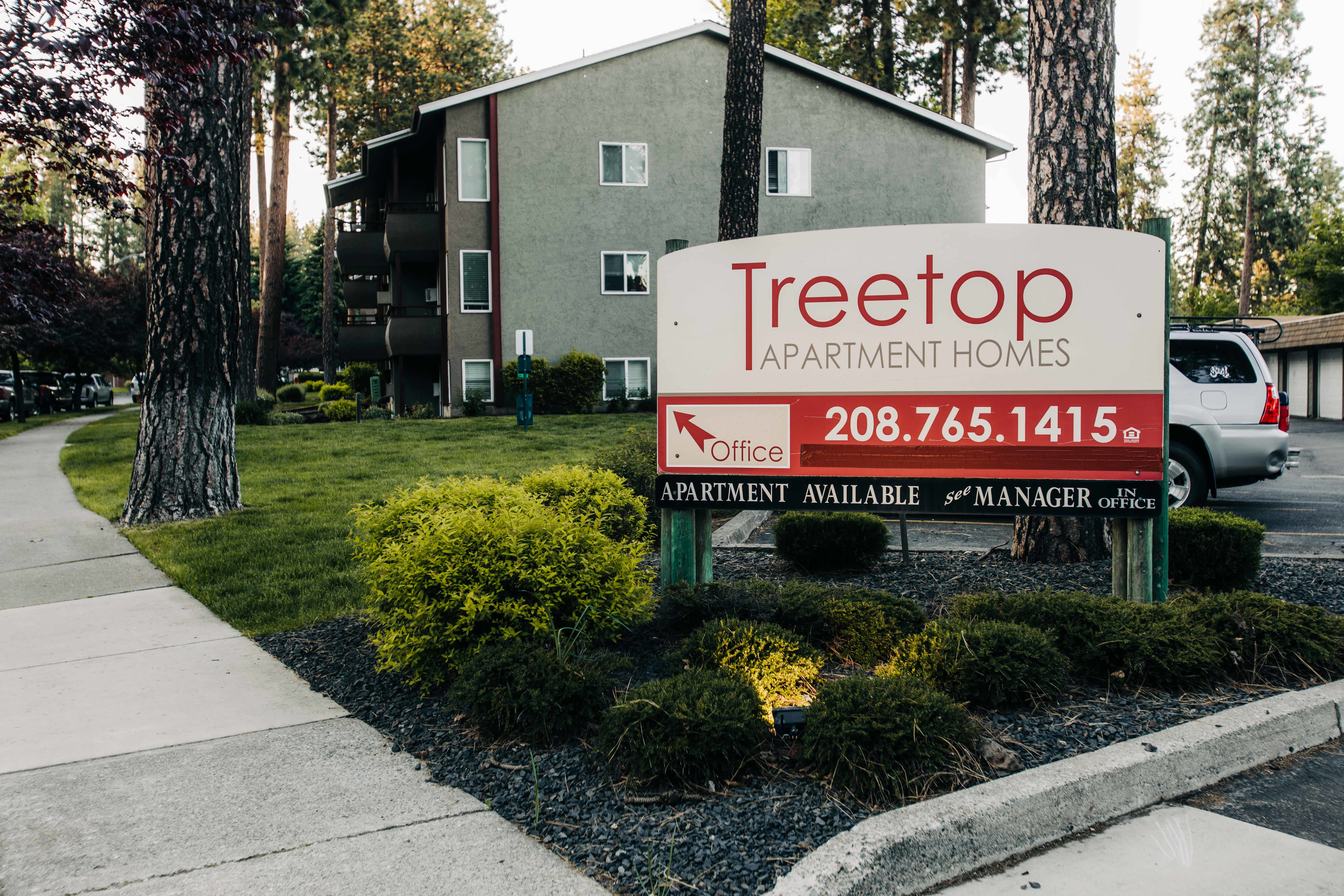 Treetop – photo 2