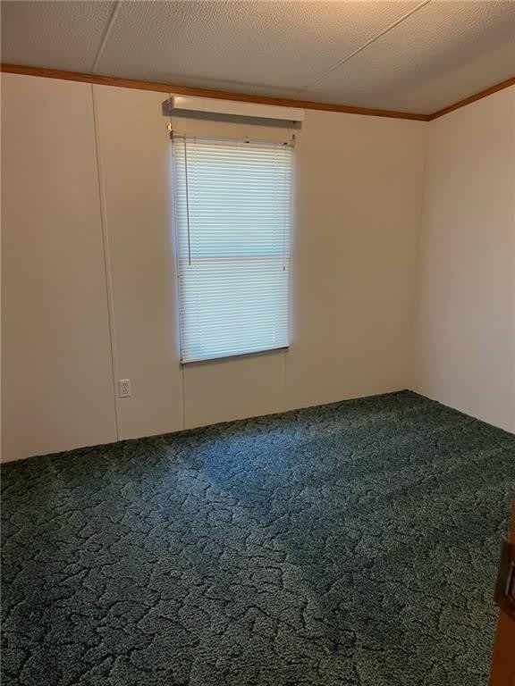 36 Fred Avenue – photo 3