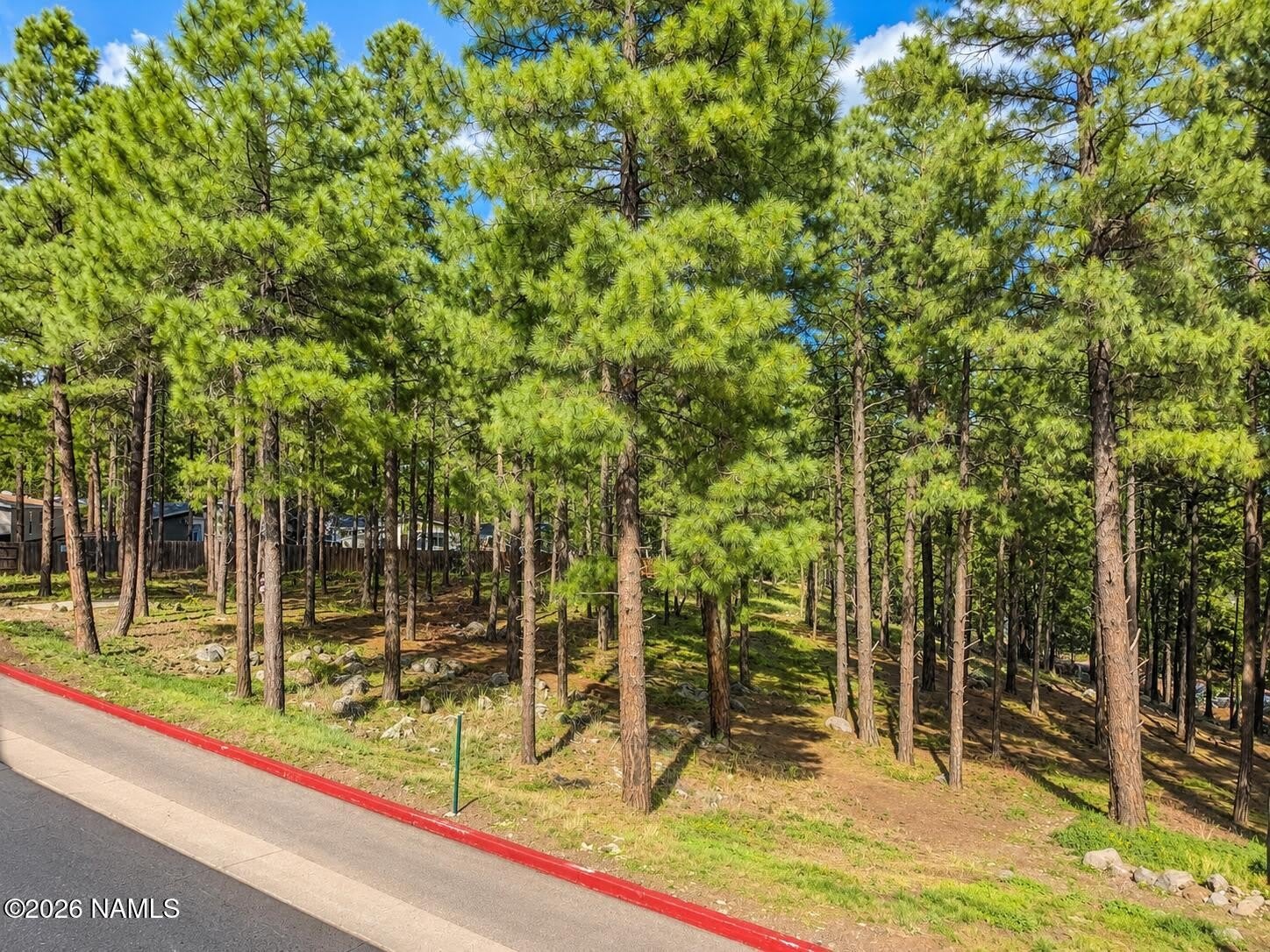 2382 W Cripple Creek Drive – photo 2