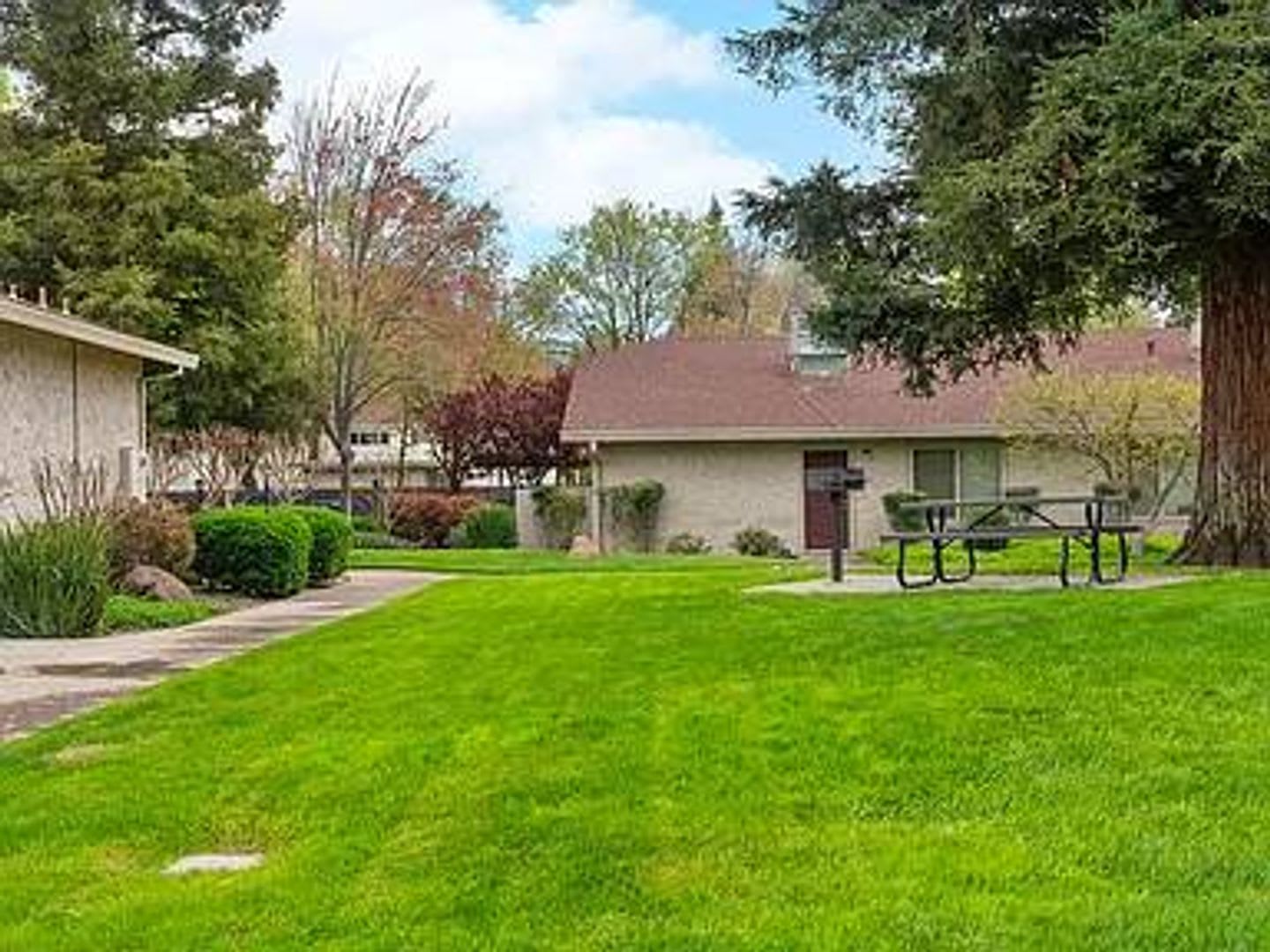Cedar Springs – photo 4