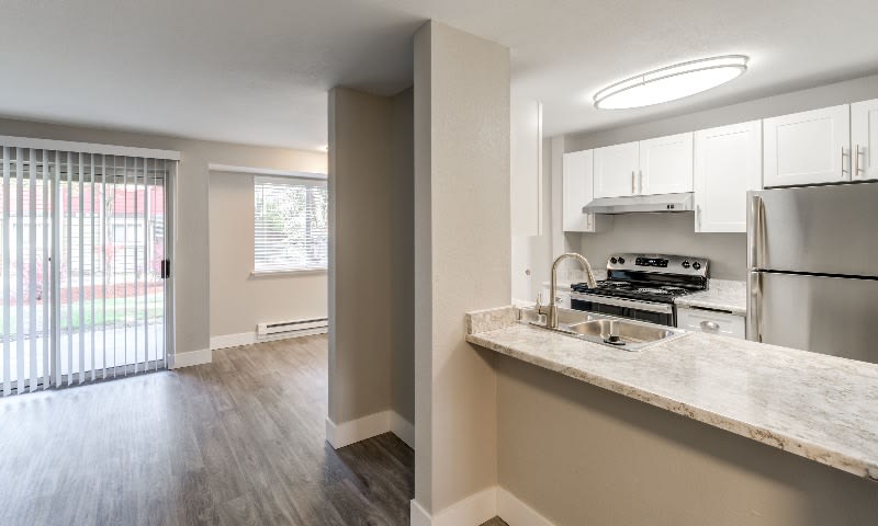 Avana Chestnut Hill – photo 5