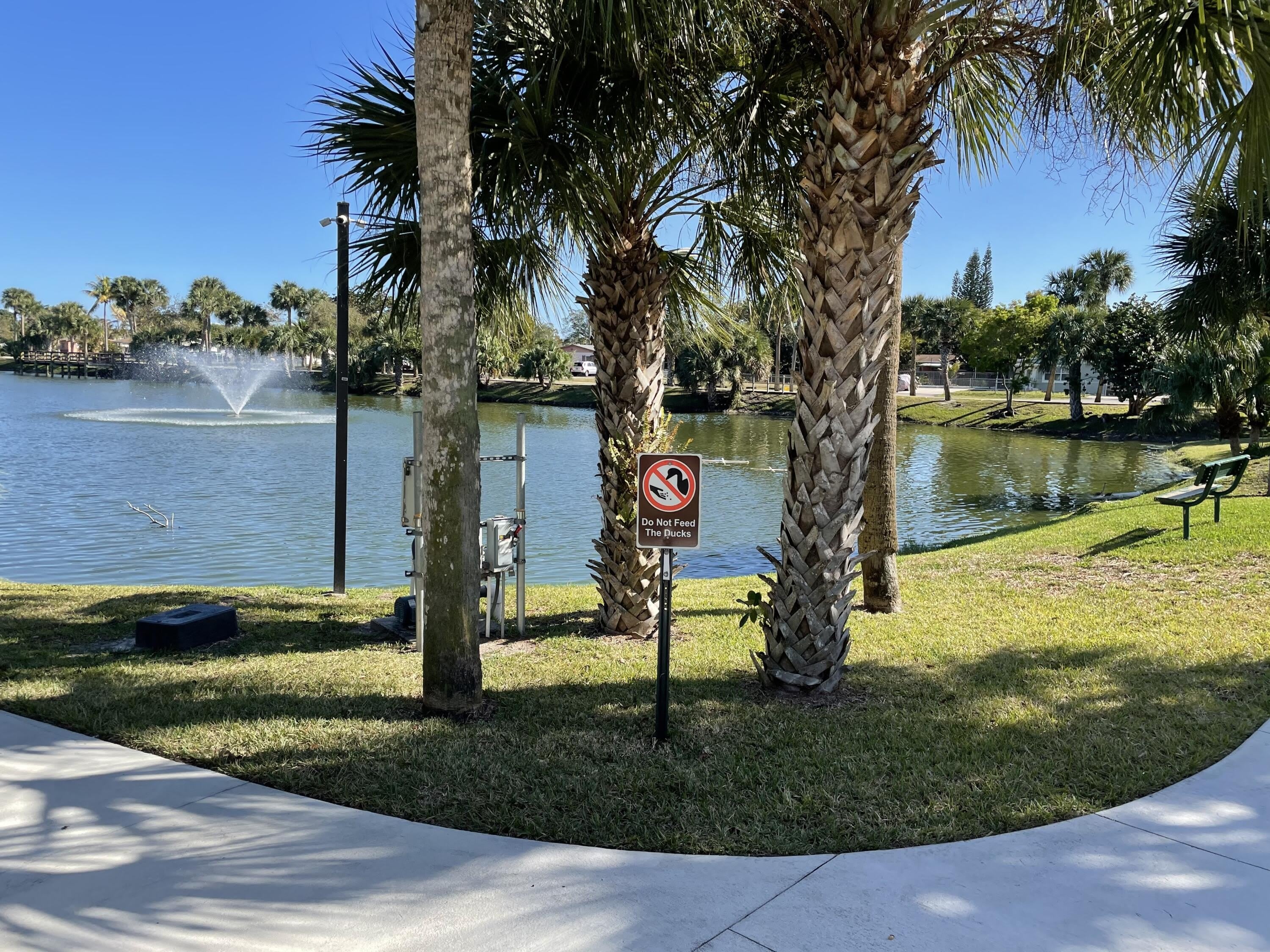 705 Lori Drive – photo 3