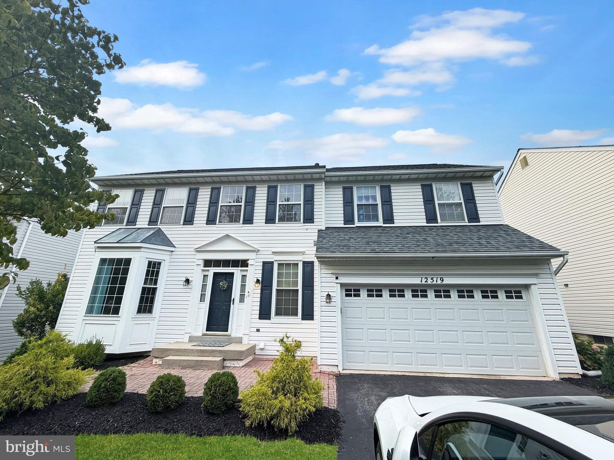 12519 ROYAL CROWN Drive – photo 3