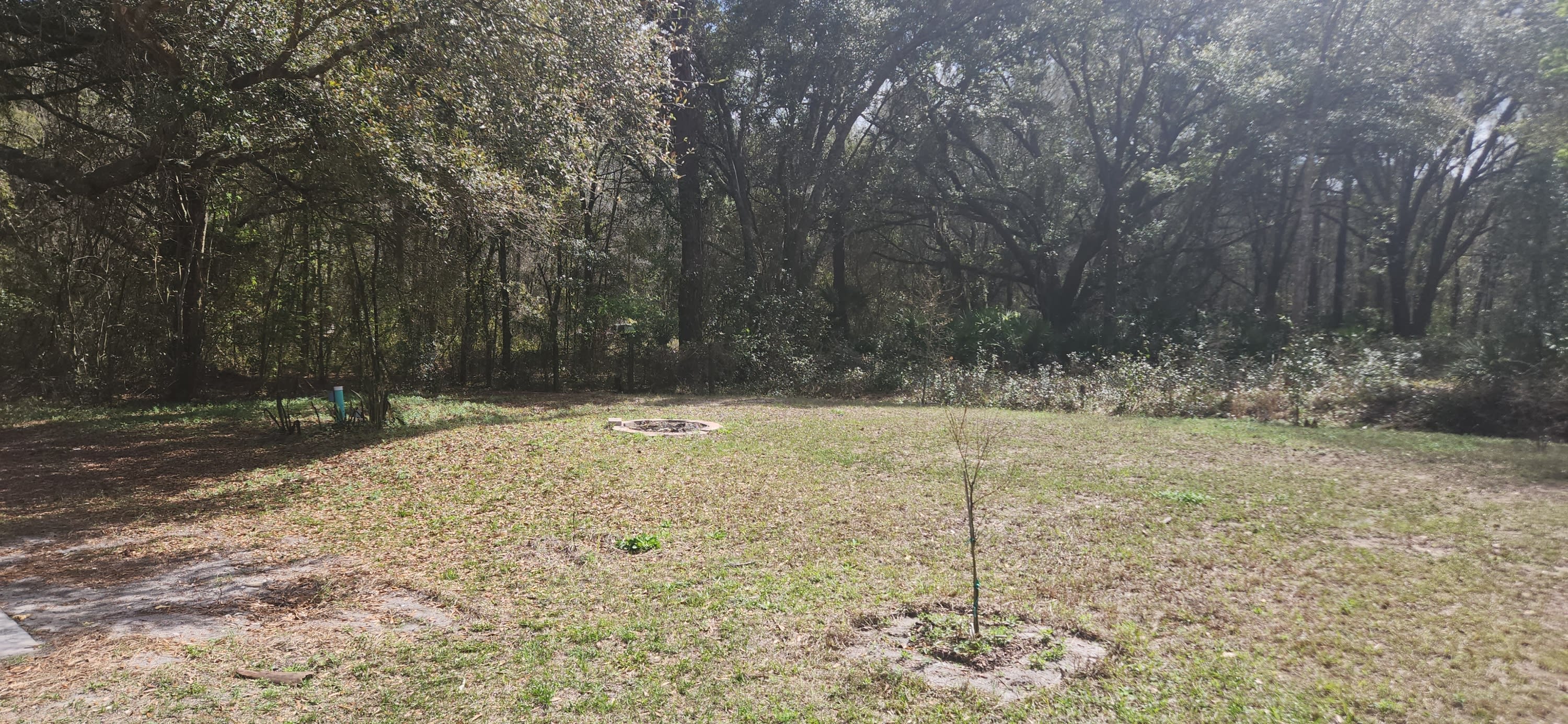 205 Harbor Drive – photo 5