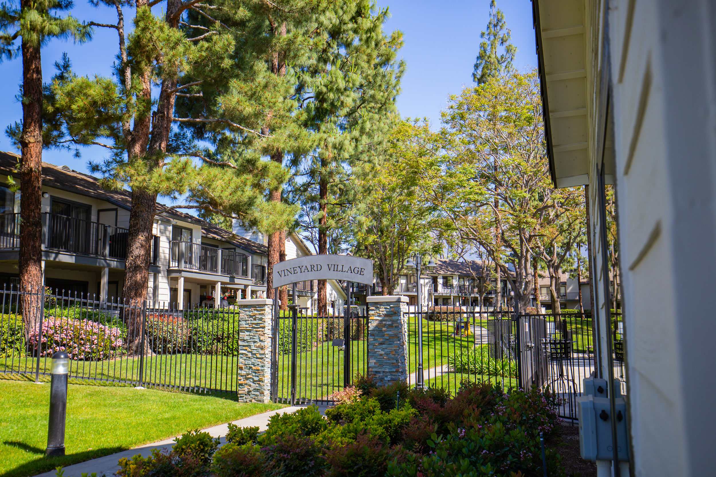 Vineyard Village – photo 2