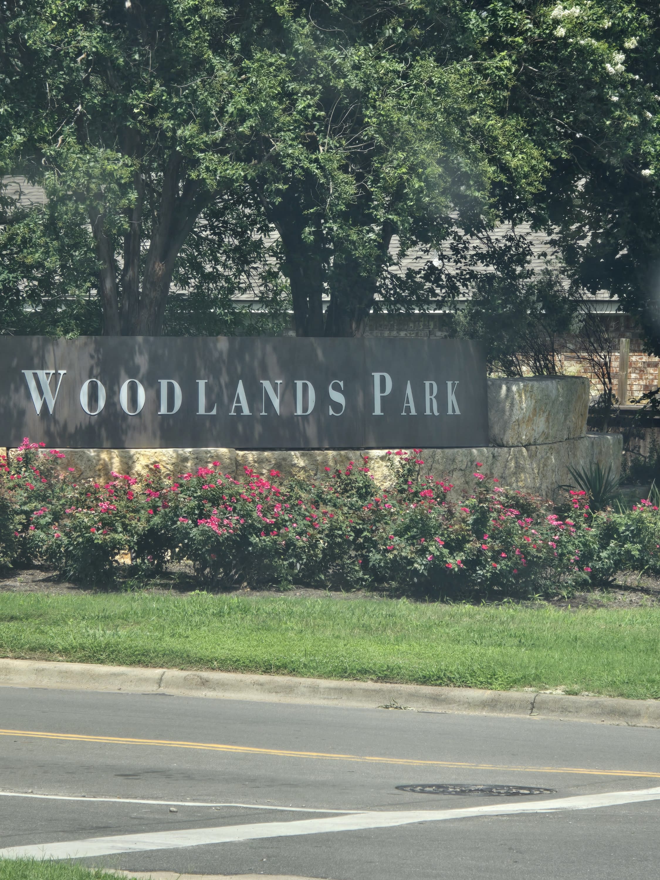 1155 Star Meadow – photo 2
