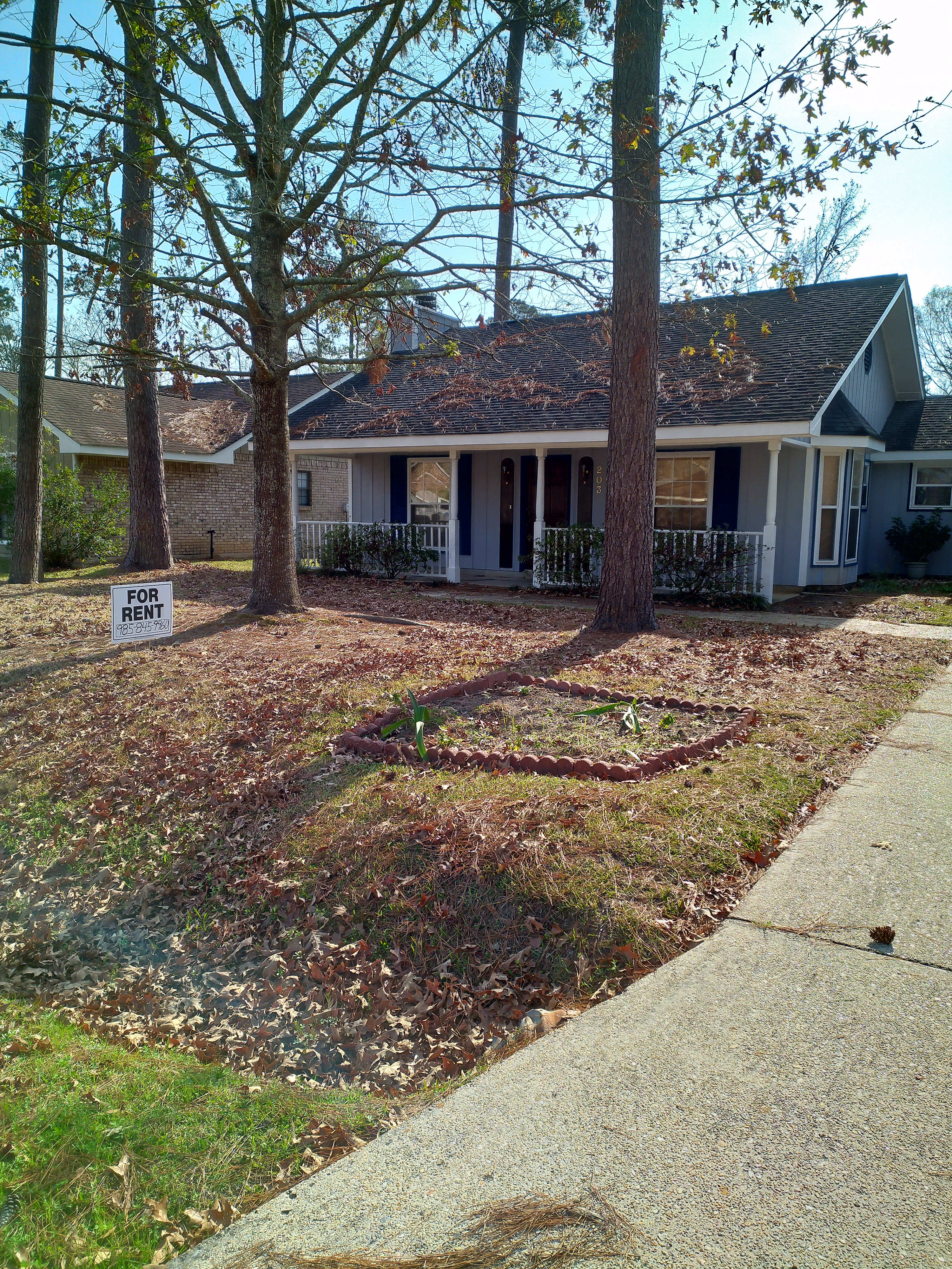 203 Driftwood St – photo 5