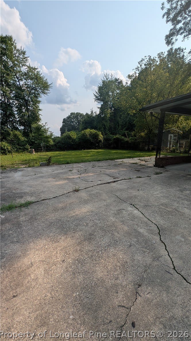 224 IRENE Street – photo 4
