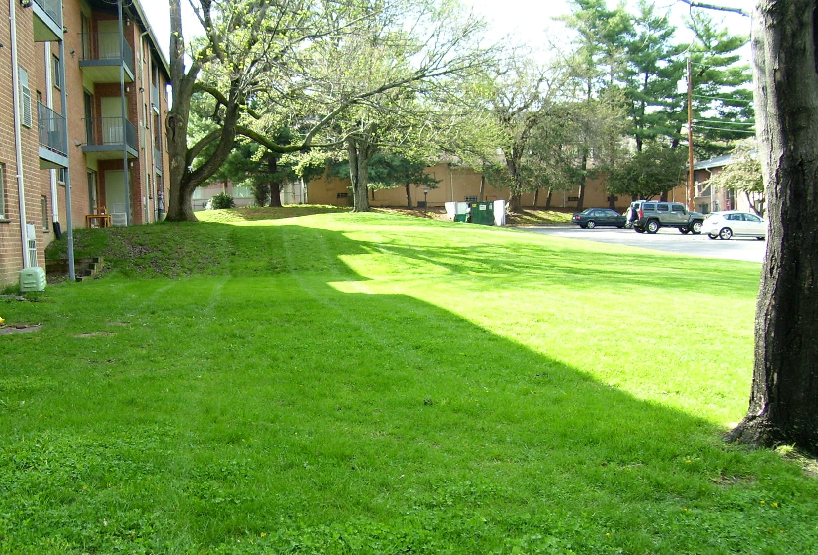 Ferris Manor – photo 5