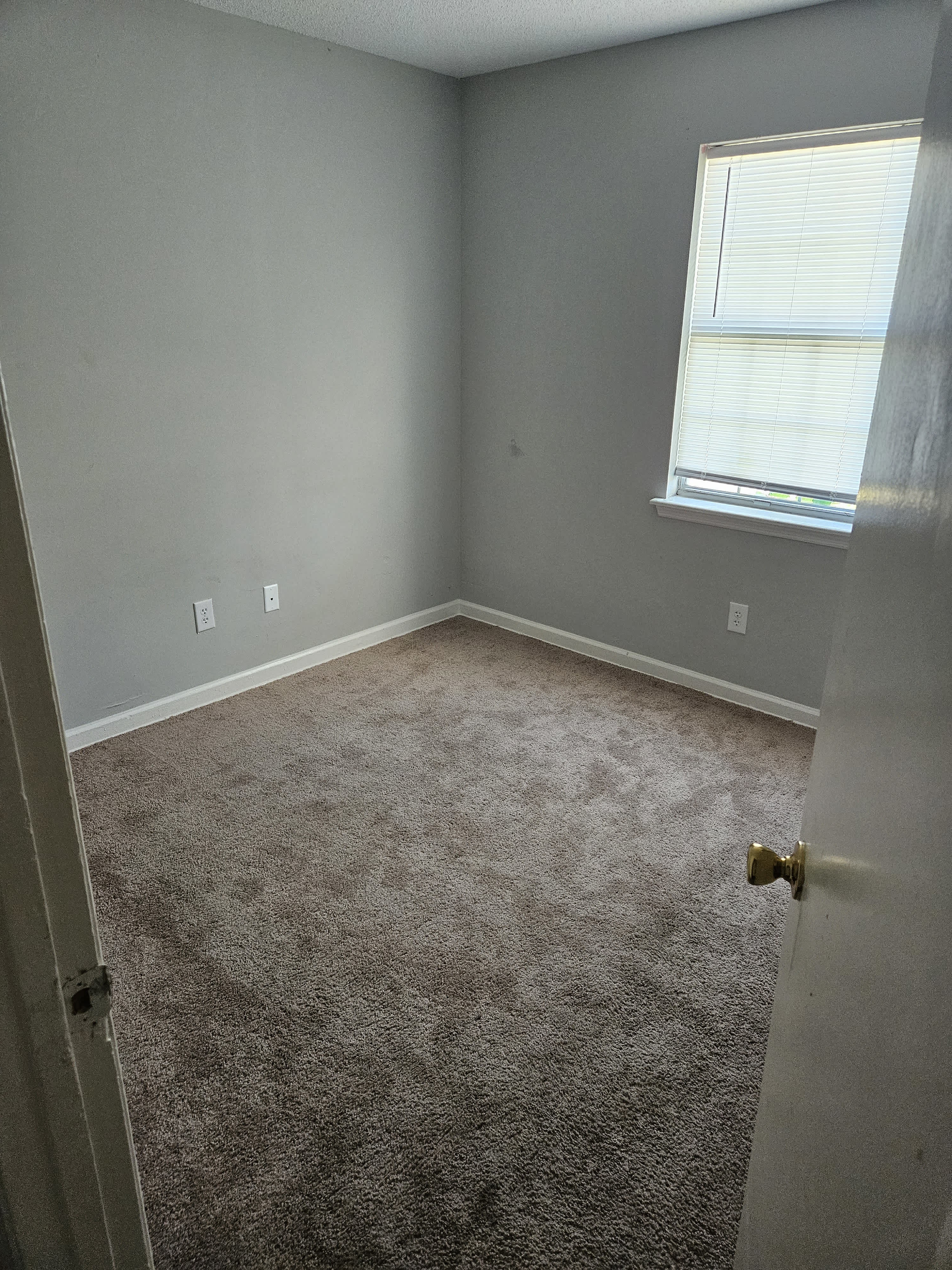 1013 Don Cutler Sr Dr – photo 4