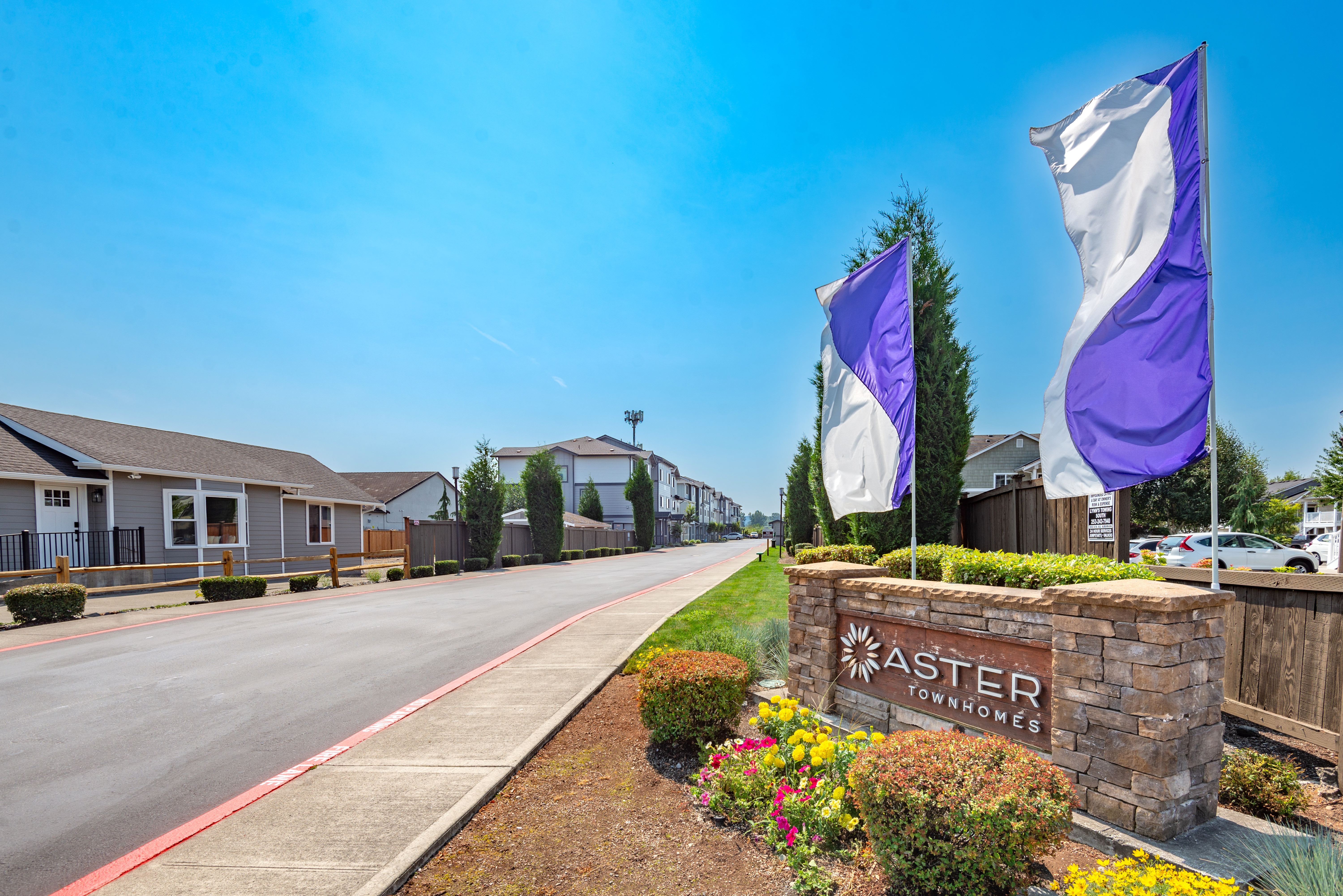 Aster Townhomes – photo 1