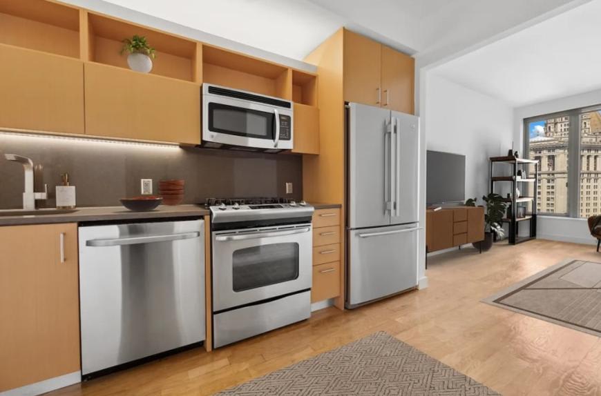 29 Beekman St. – photo 1