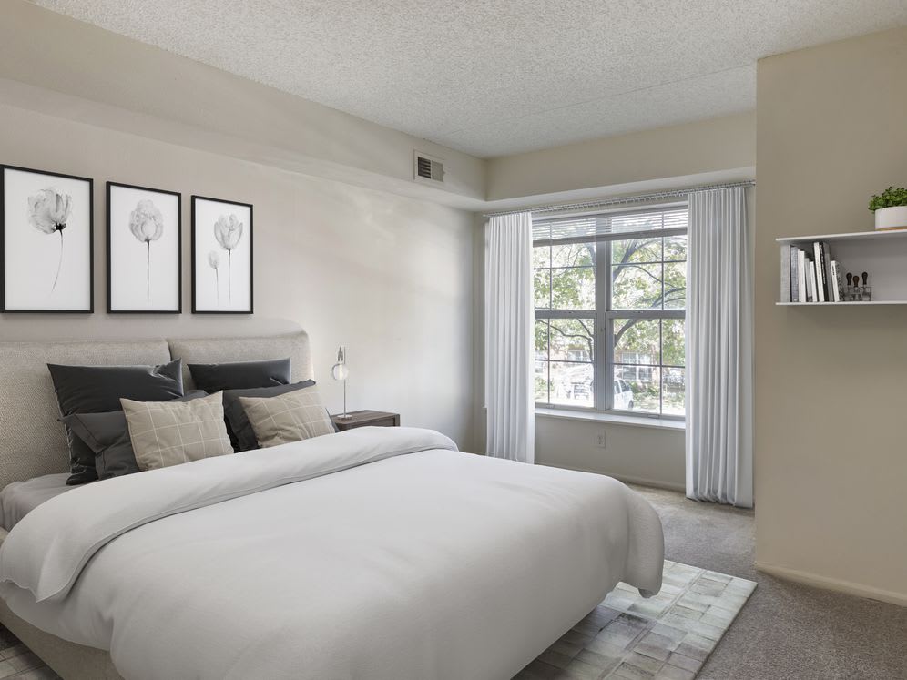 Avalon Cove – photo 3