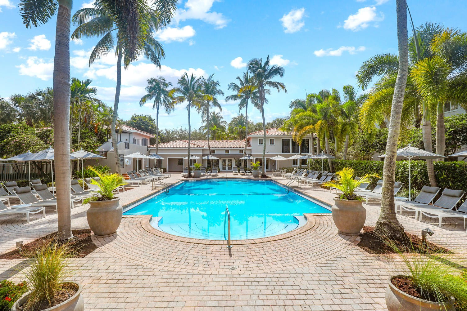 Coconut Palm Club – photo 1