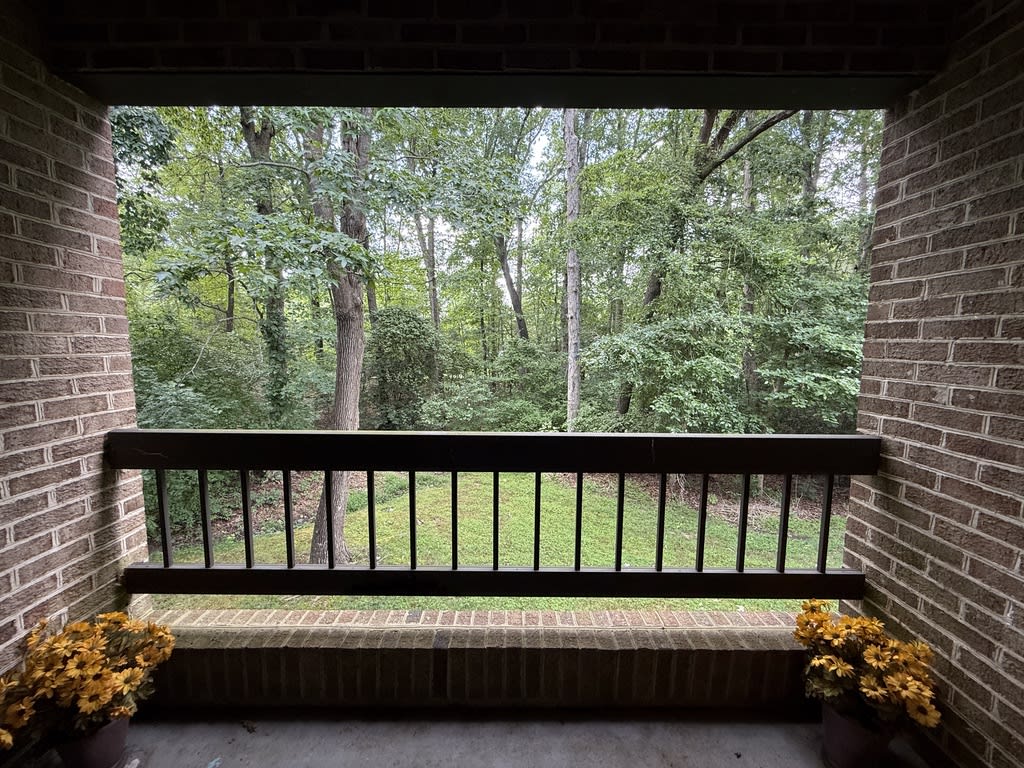 23243 White Birch Court – photo 1