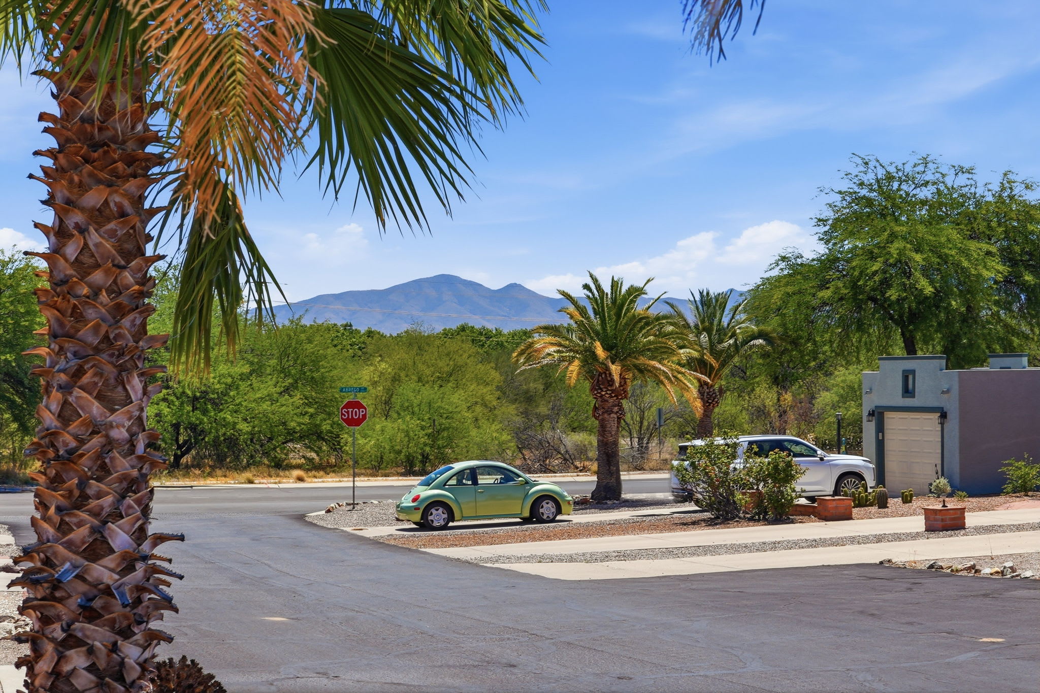 1310 S Desert Meadows Cir – photo 2