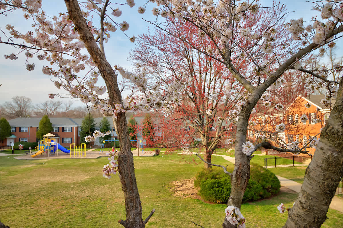 Kingsley Commons – photo 4