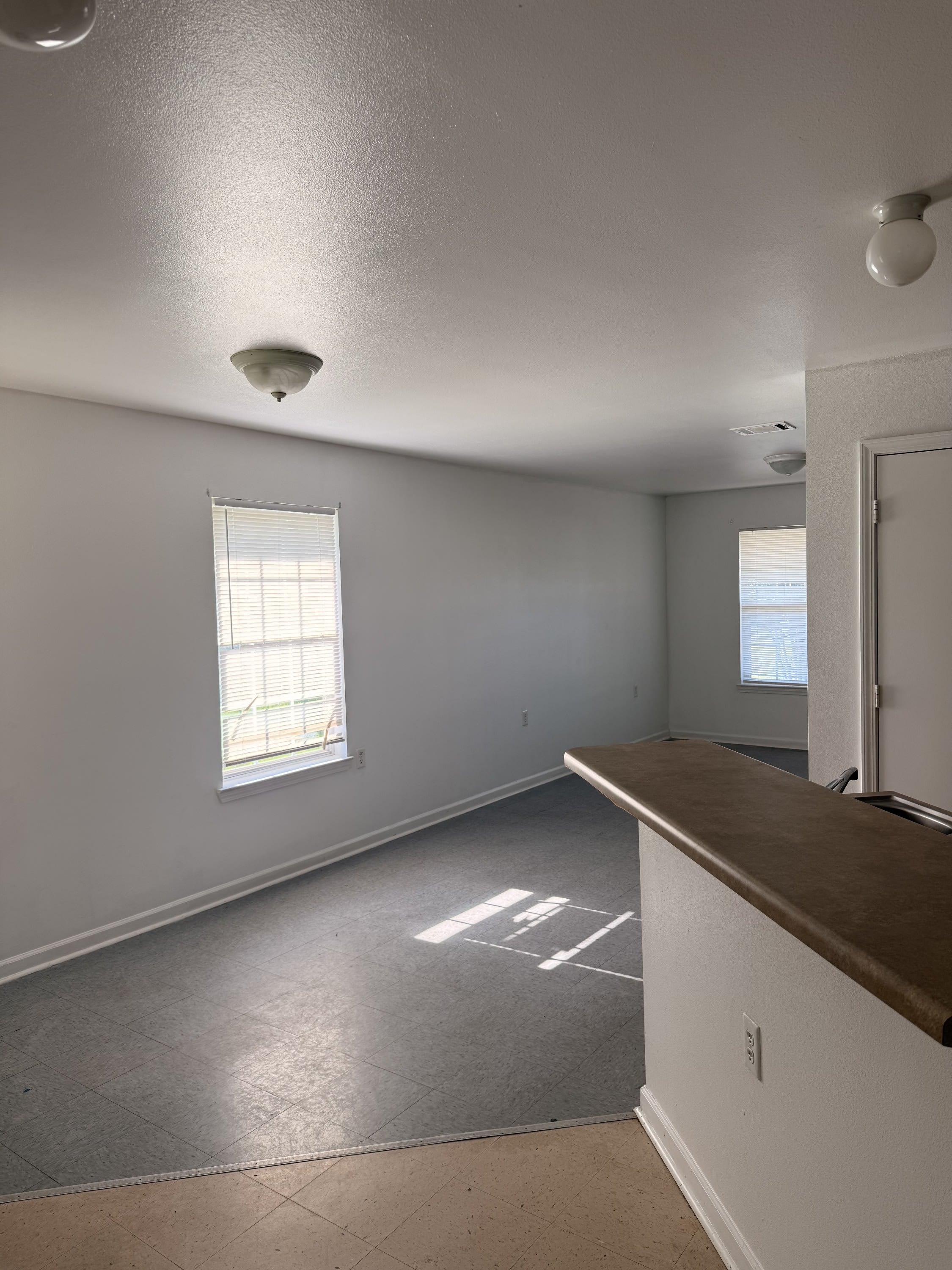 1901 Marshall Frank Drive – photo 2