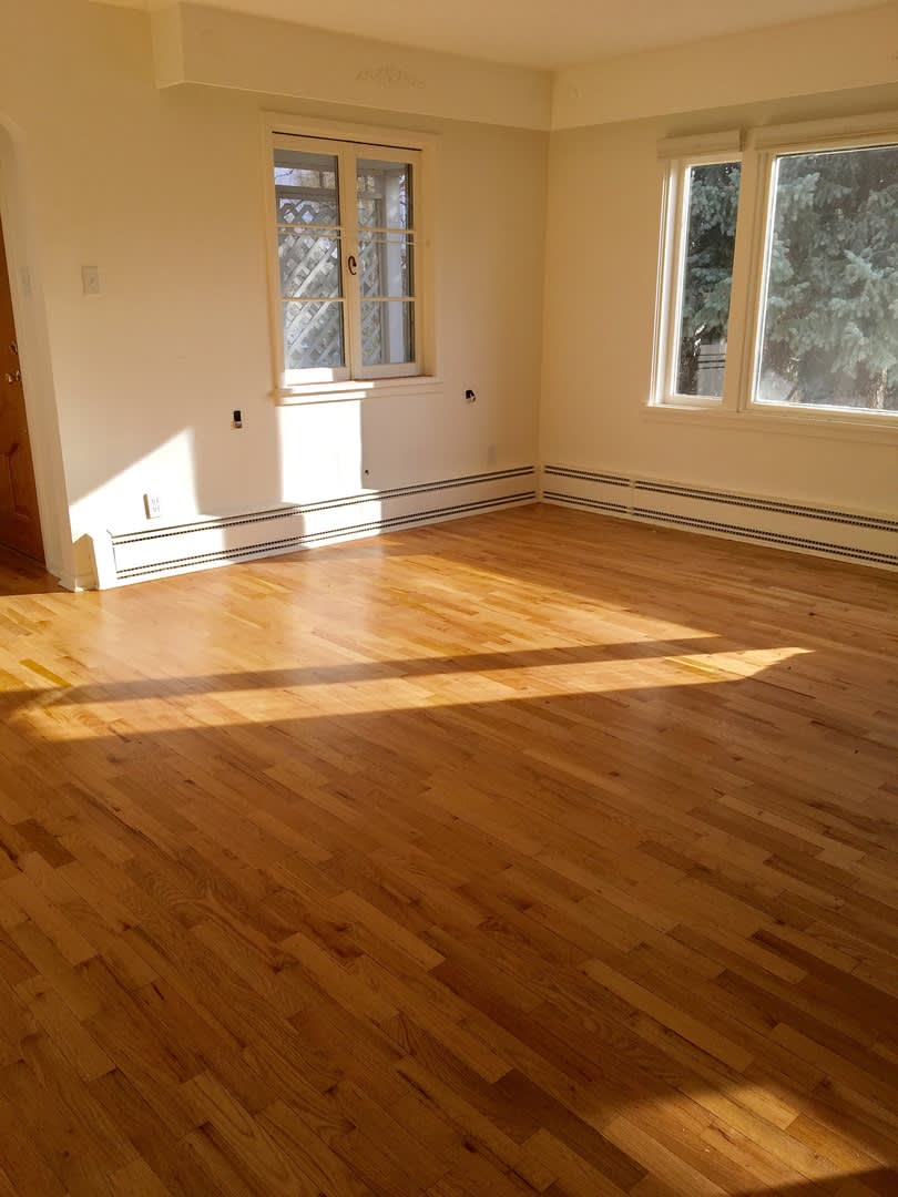 Sunny + Bright Near Sunset Park in Old Town Longmont! – photo 2