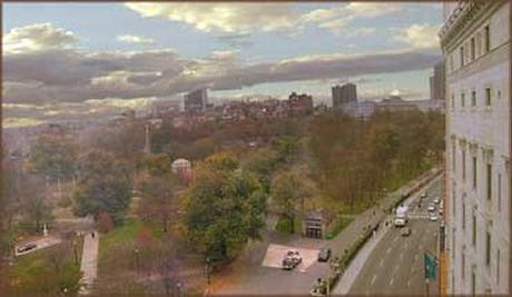 62 on the Park – photo 3