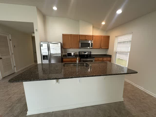 1039 Lemon Drop Lane – photo 5