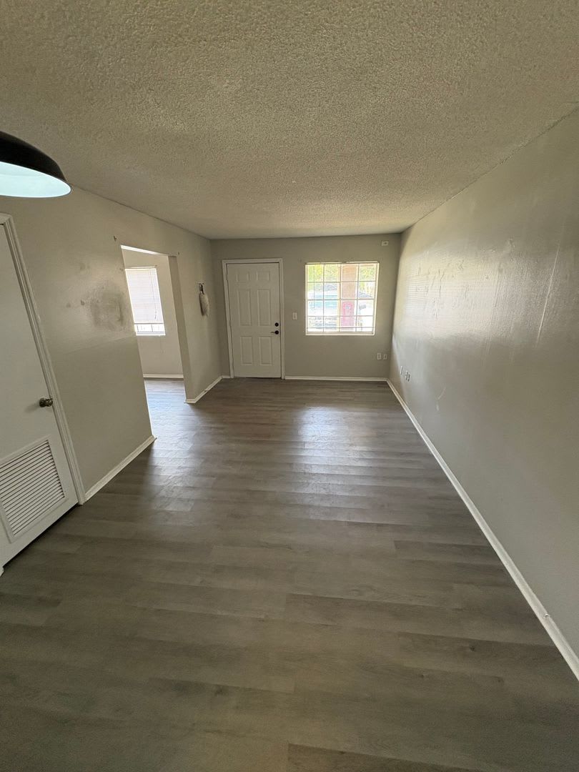 Spacious Studio in Maitland! – photo 2