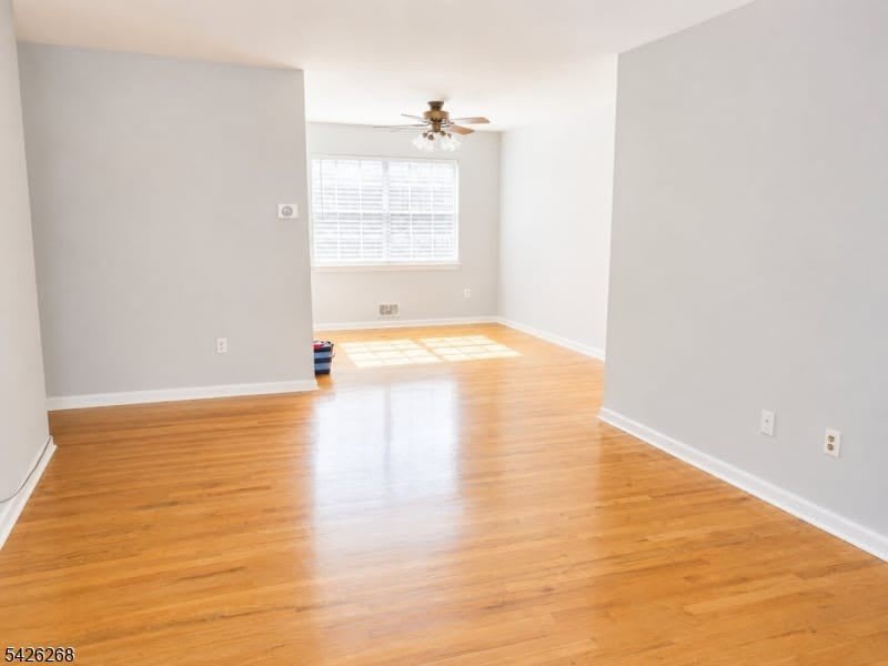 800 Old Springfield Ave – photo 5