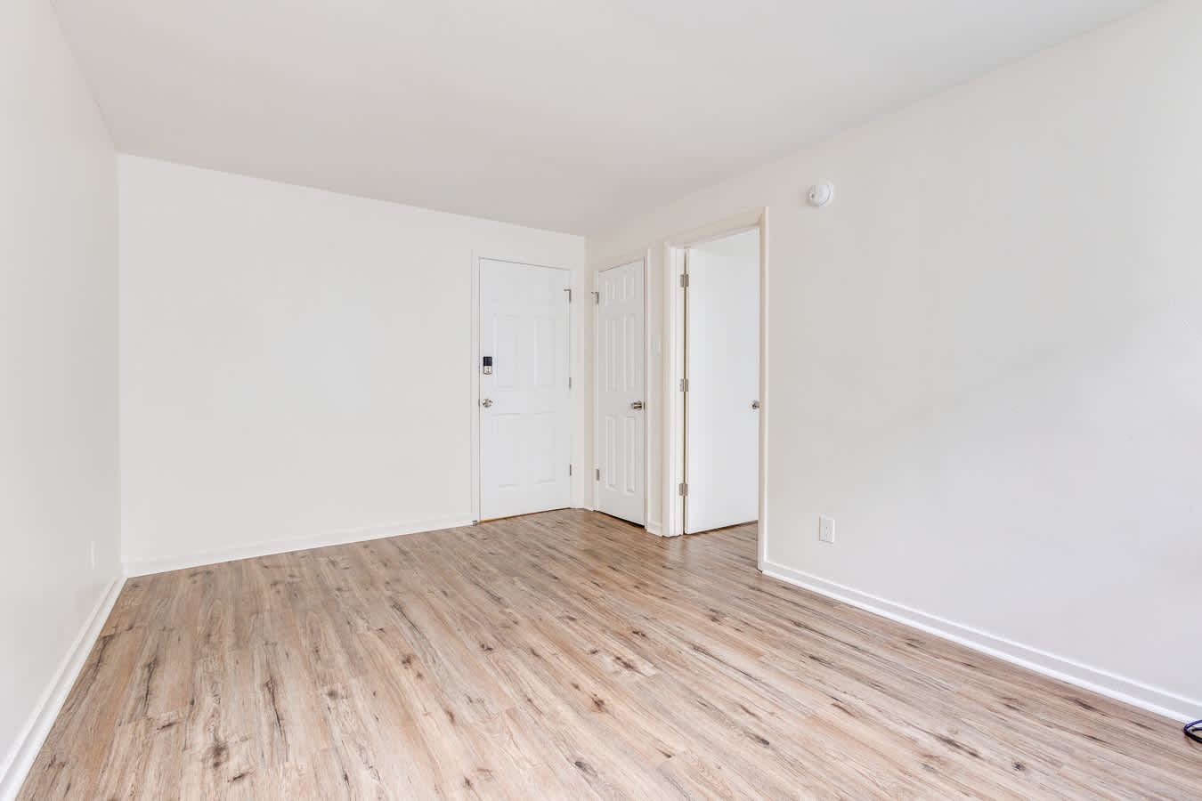 525 Washington Avenue – photo 3