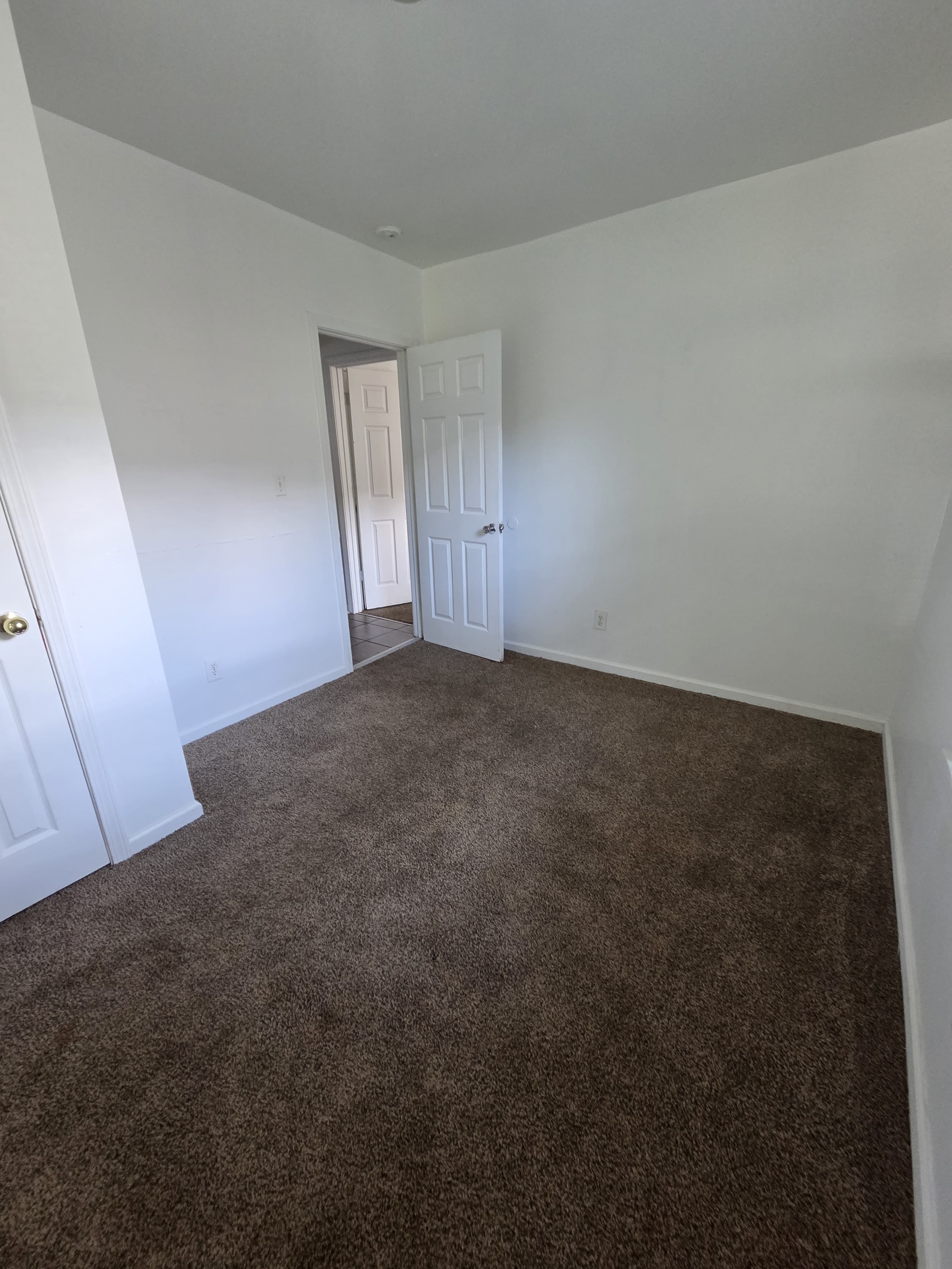 410 South College Drive – photo 3