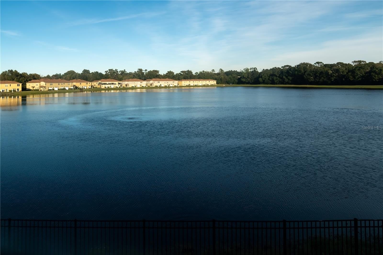 3733 EAGLE PRESERVE Point – photo 3
