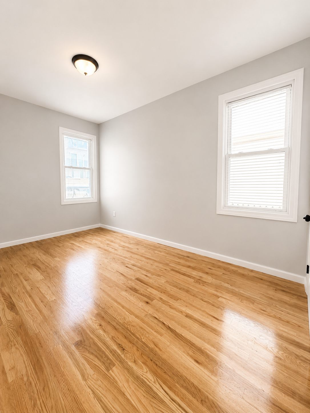 29 Baldwin Avenue – photo 5