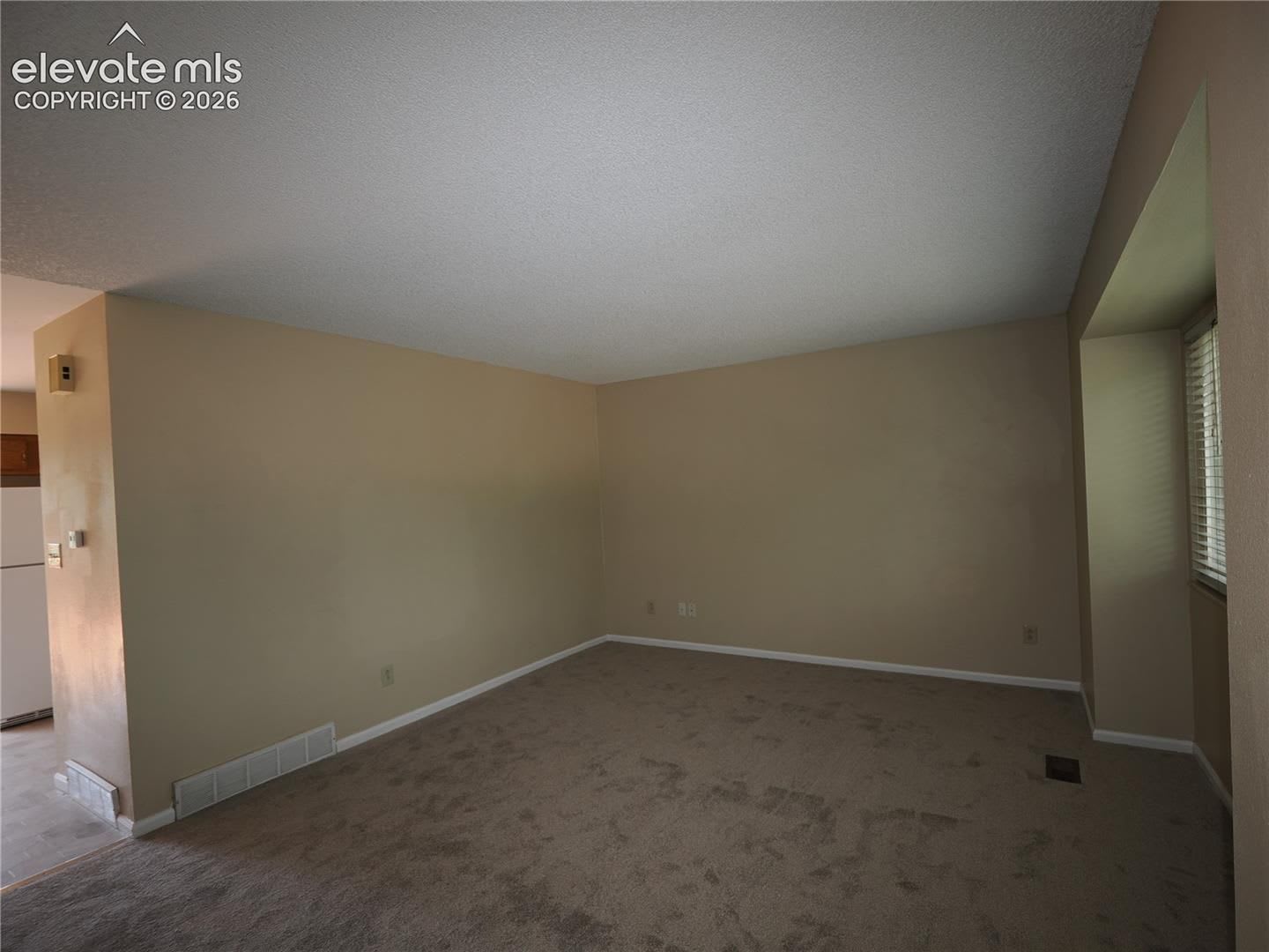 4 Bedroom with New Carpet! – photo 4